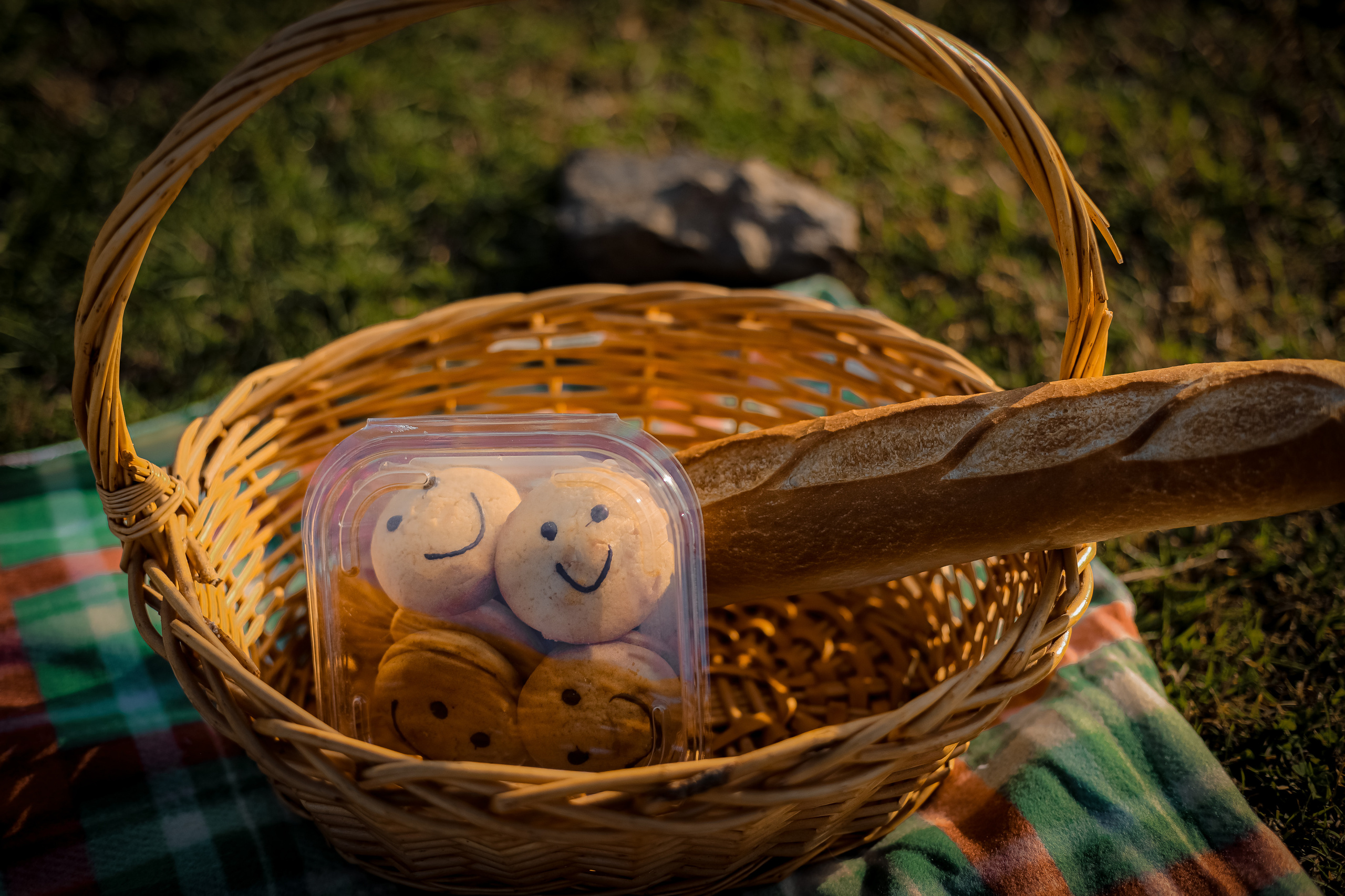 Оля и Артем в сосновом лесу. Фотограф г. Хабаровск. Семейные и индивидуальные съёмки