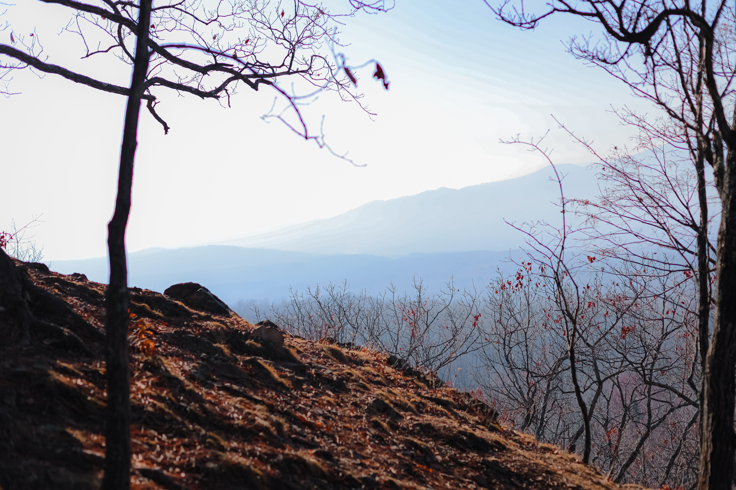 Змеиная гора. Фотограф г. Хабаровск. Семейные и индивидуальные съёмки