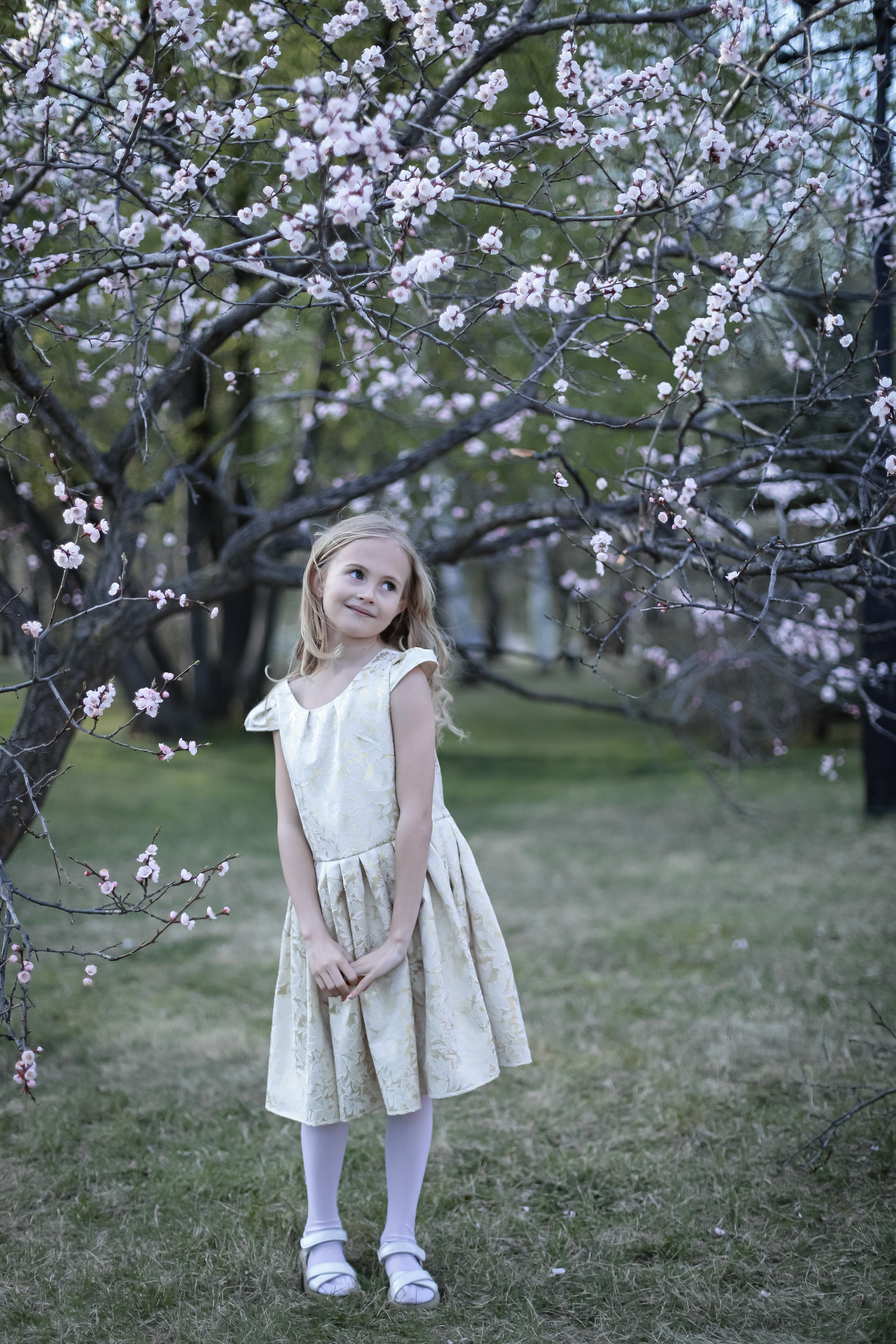 Фотосессия в цветении май 2023. Фотограф г. Хабаровск. Семейные и индивидуальные съёмки