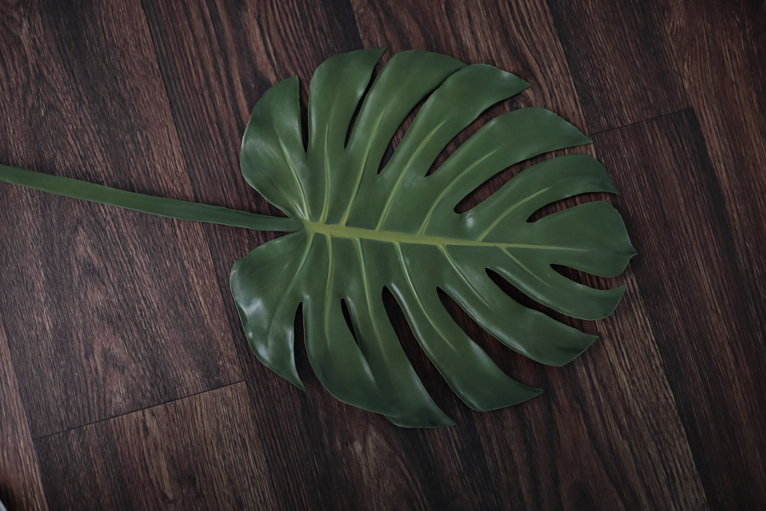 Женский психолог. Фотограф г. Хабаровск. Семейные и индивидуальные съёмки