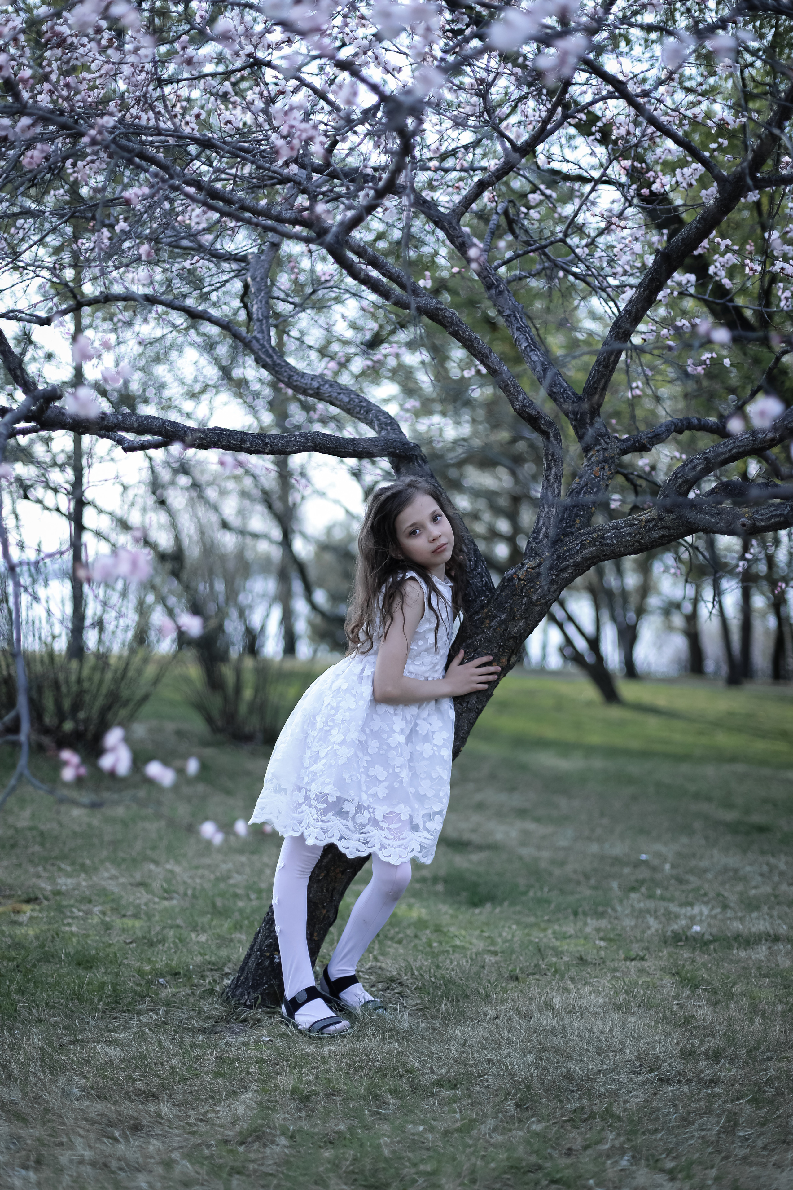 Фотосессия в цветении май 2023. Фотограф г. Хабаровск. Семейные и индивидуальные съёмки