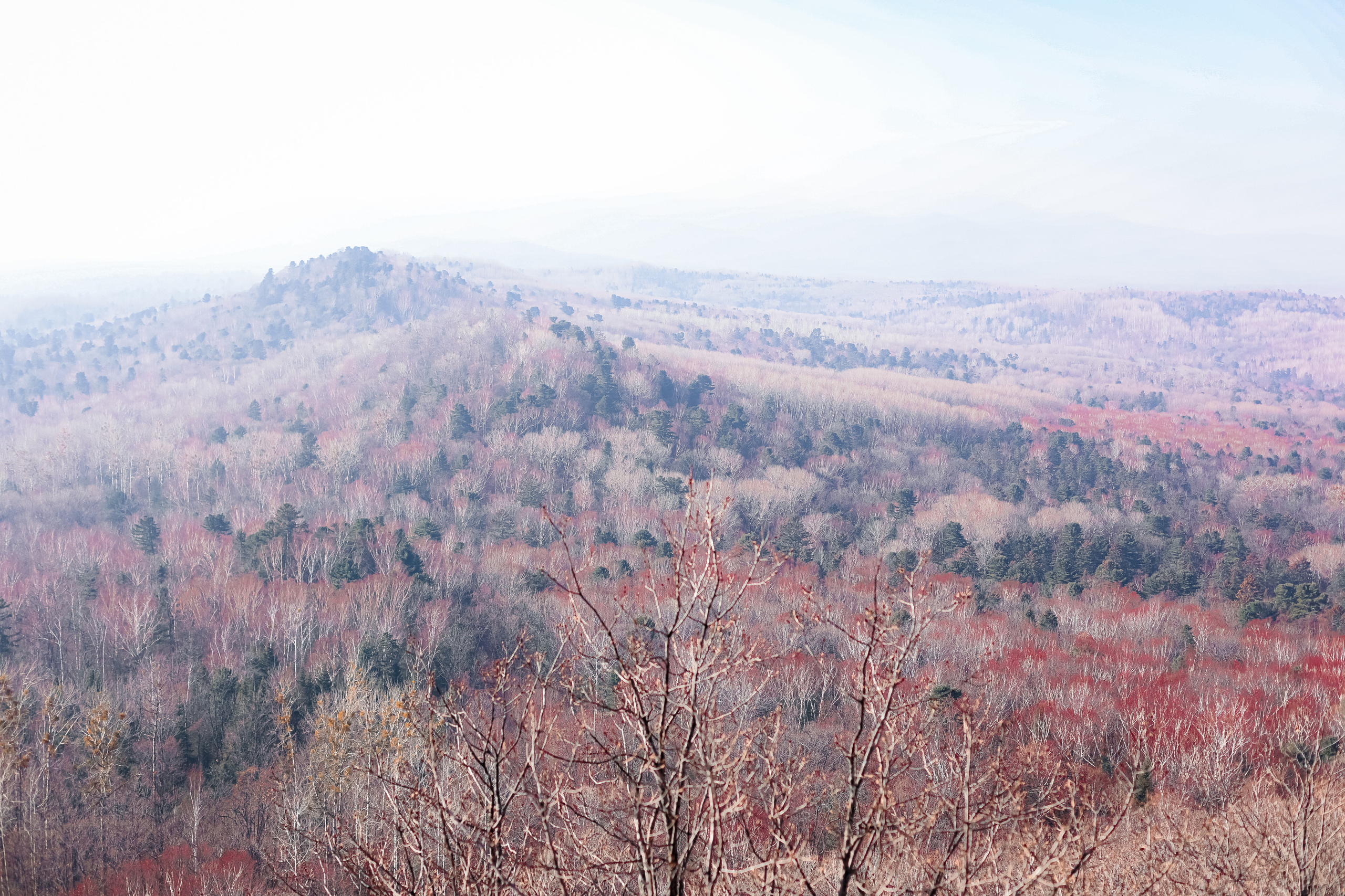 Змеиная гора. Фотограф г. Хабаровск. Семейные и индивидуальные съёмки