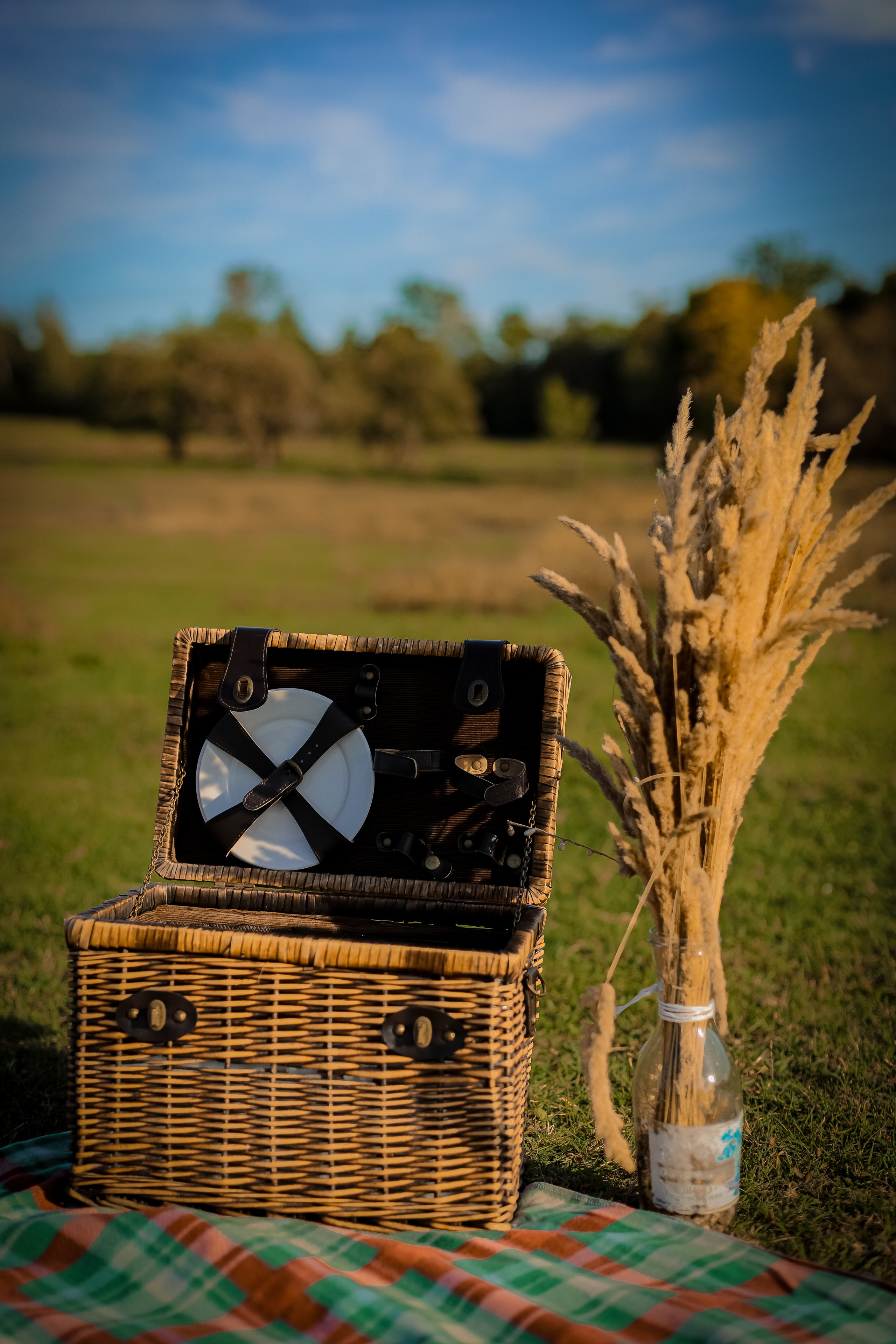 Оля и Артем в сосновом лесу. Фотограф г. Хабаровск. Семейные и индивидуальные съёмки