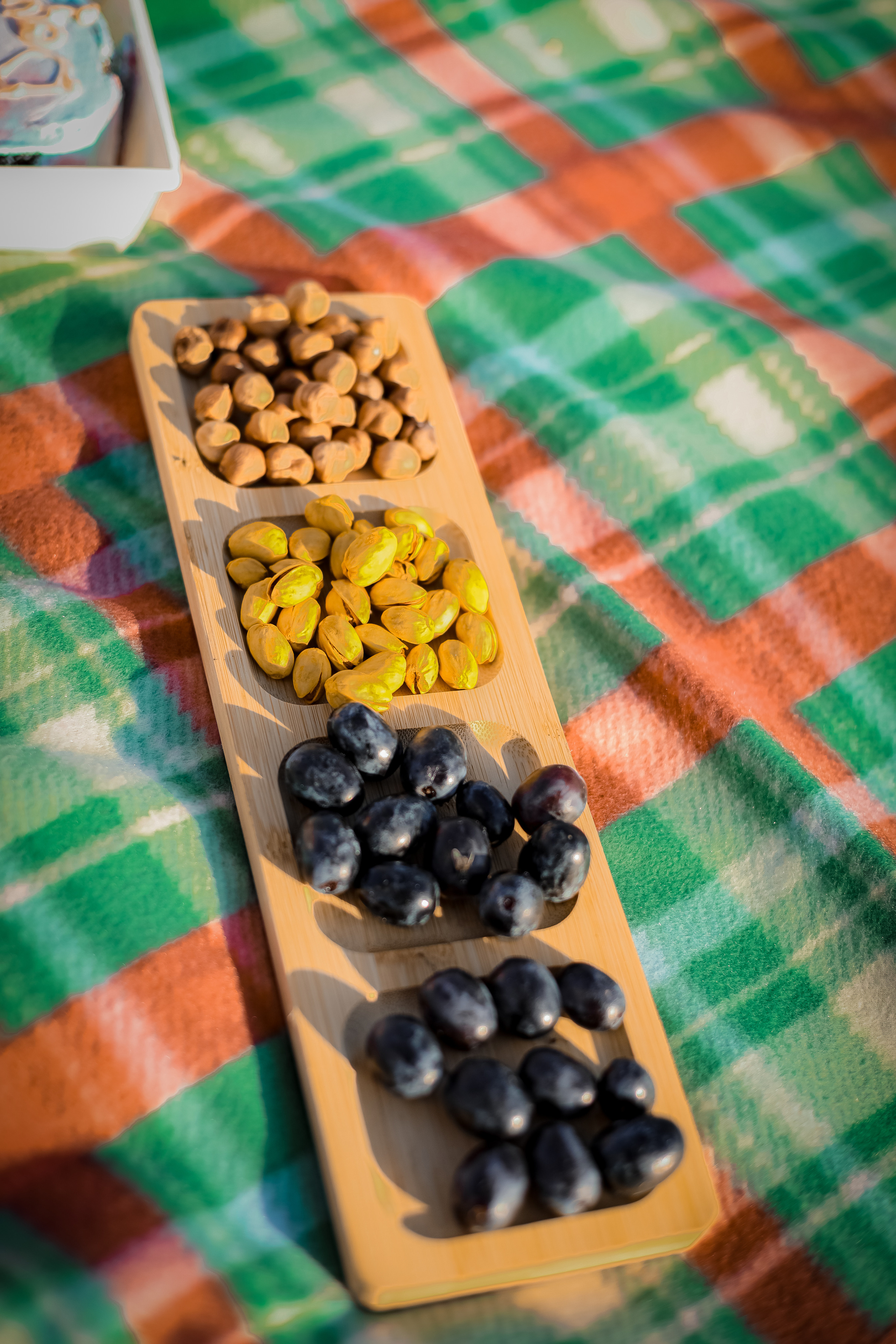 Оля и Артем в сосновом лесу. Фотограф г. Хабаровск. Семейные и индивидуальные съёмки