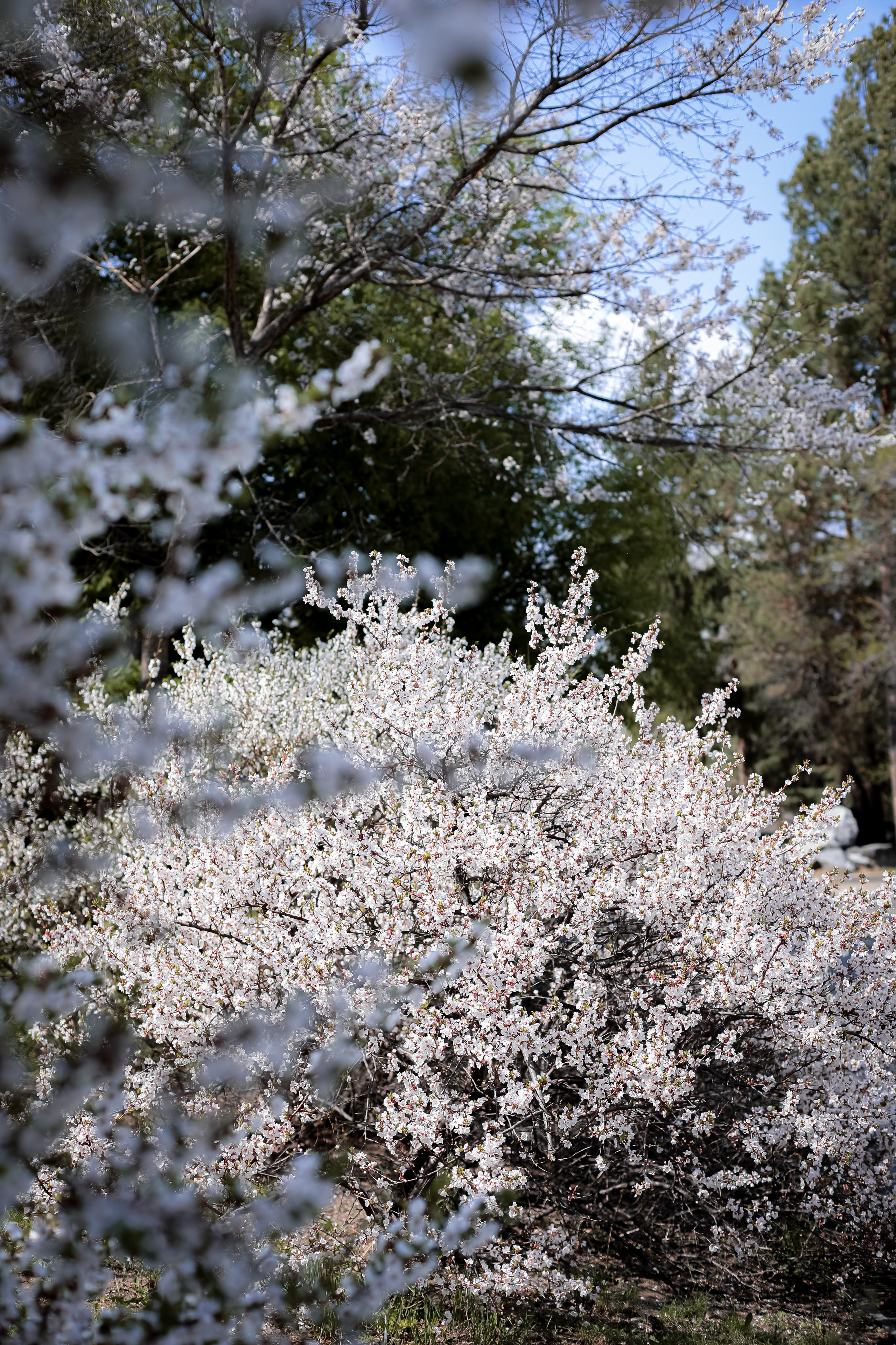 Май 2023. Фотограф г. Хабаровск. Семейные и индивидуальные съёмки
