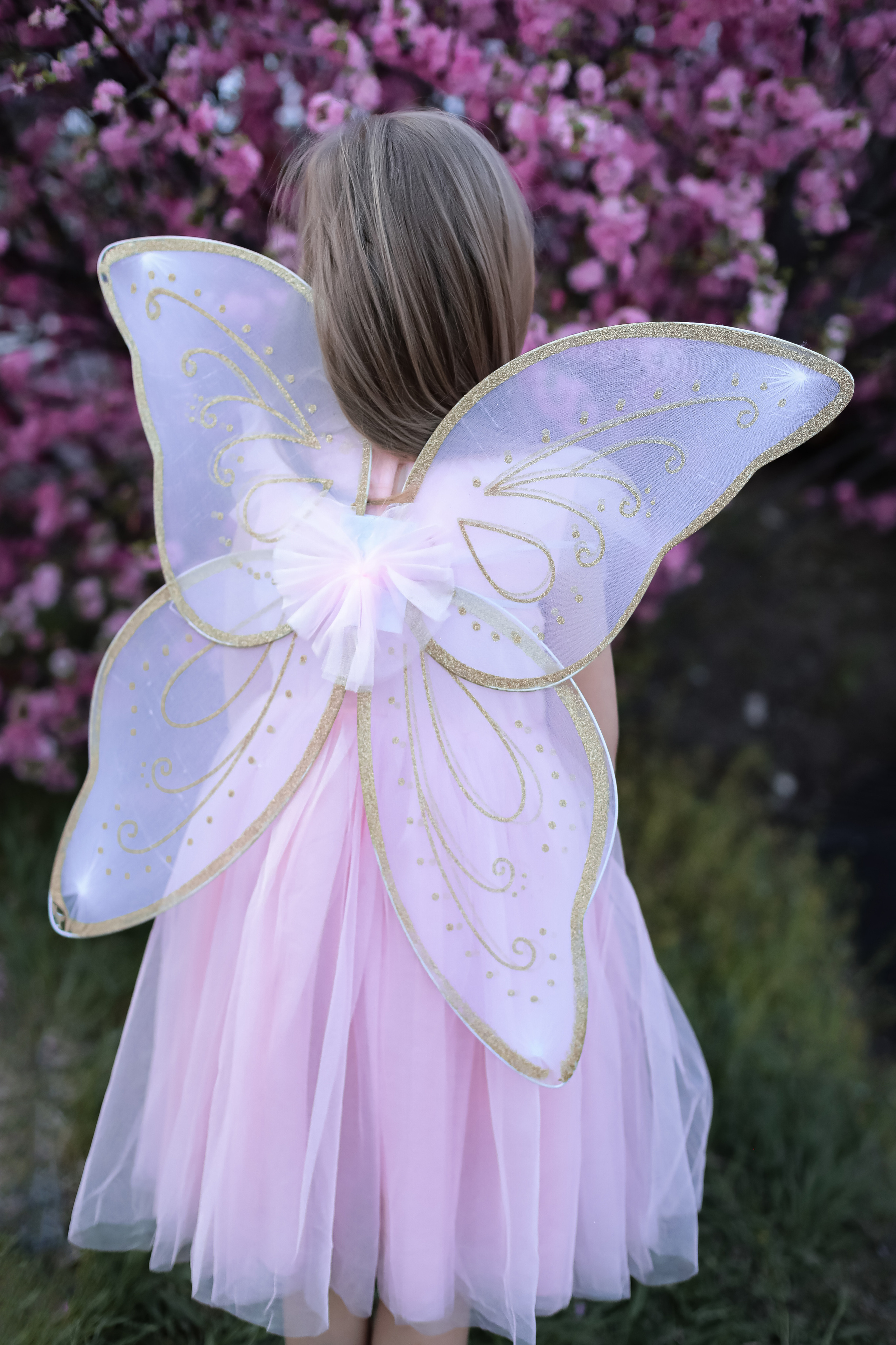 Май 2023. Фотограф г. Хабаровск. Семейные и индивидуальные съёмки