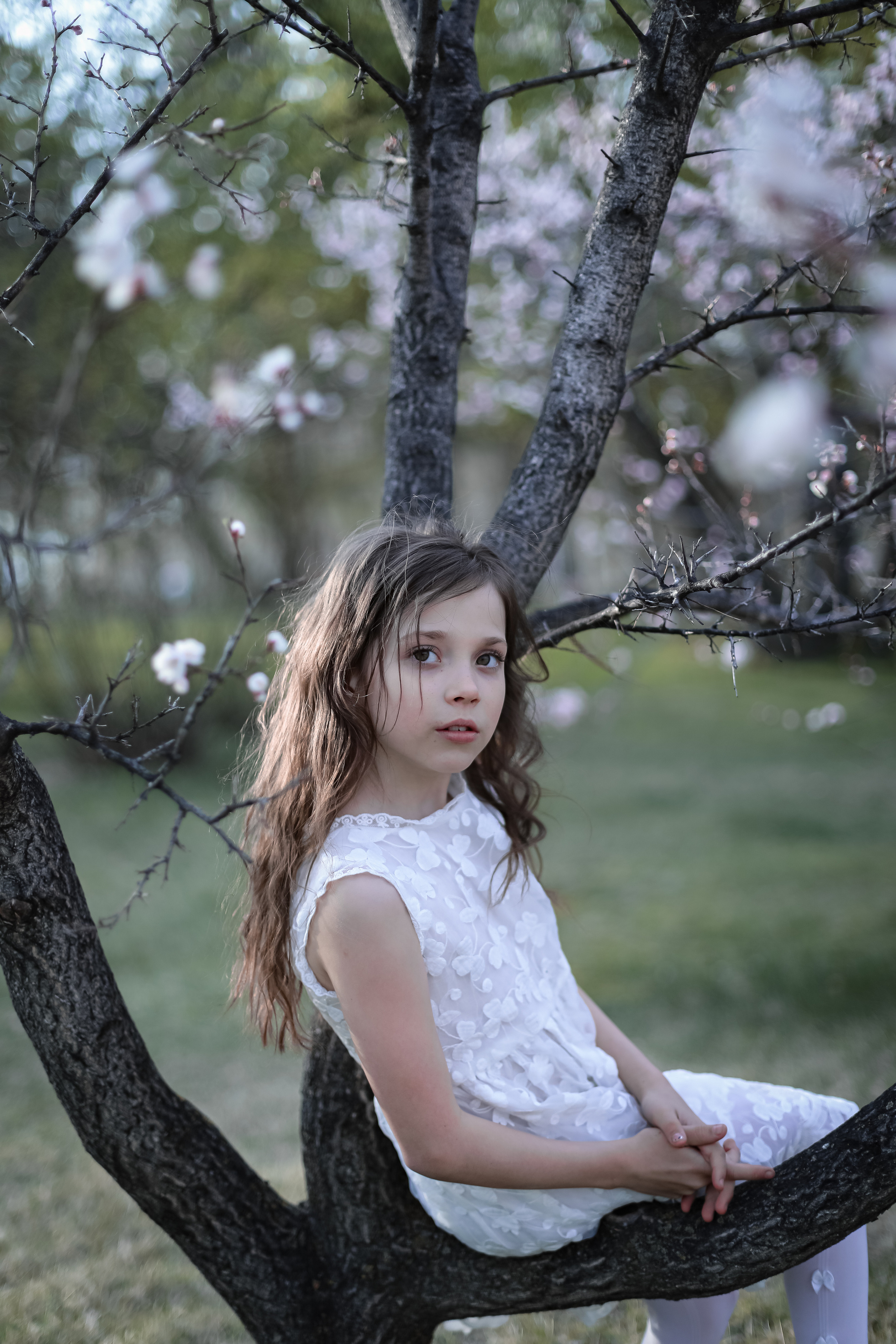 Фотосессия в цветении май 2023. Фотограф г. Хабаровск. Семейные и индивидуальные съёмки