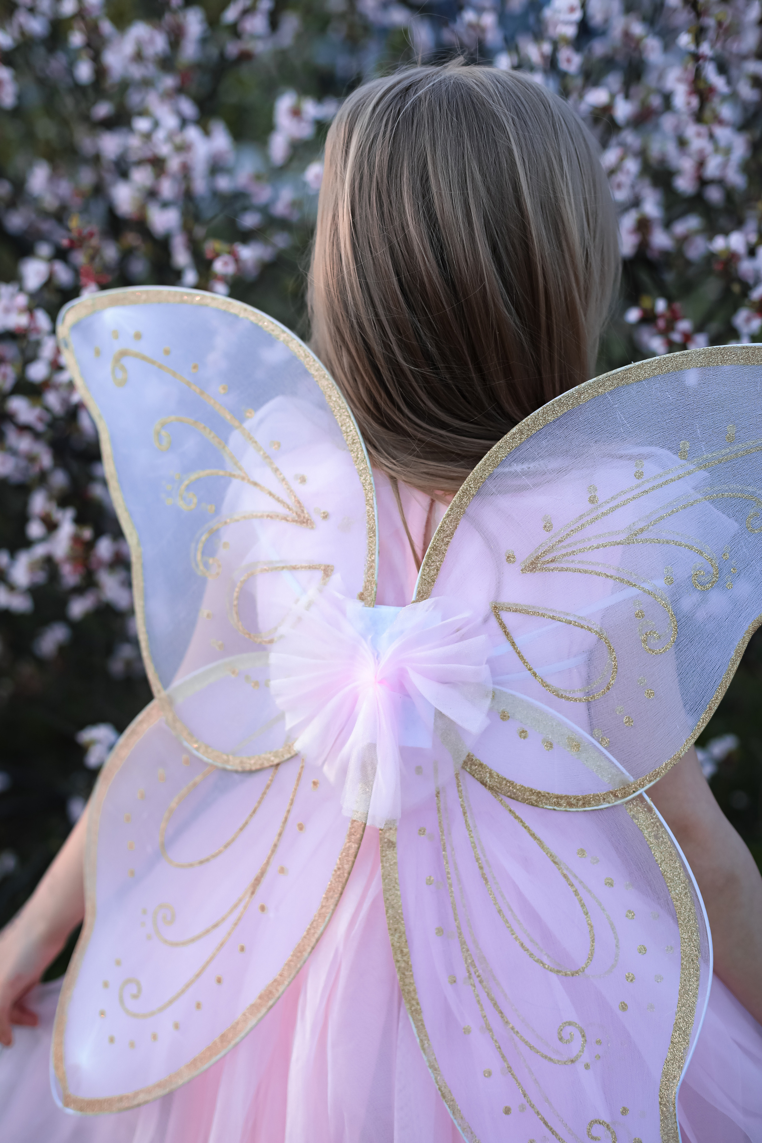 Май 2023. Фотограф г. Хабаровск. Семейные и индивидуальные съёмки