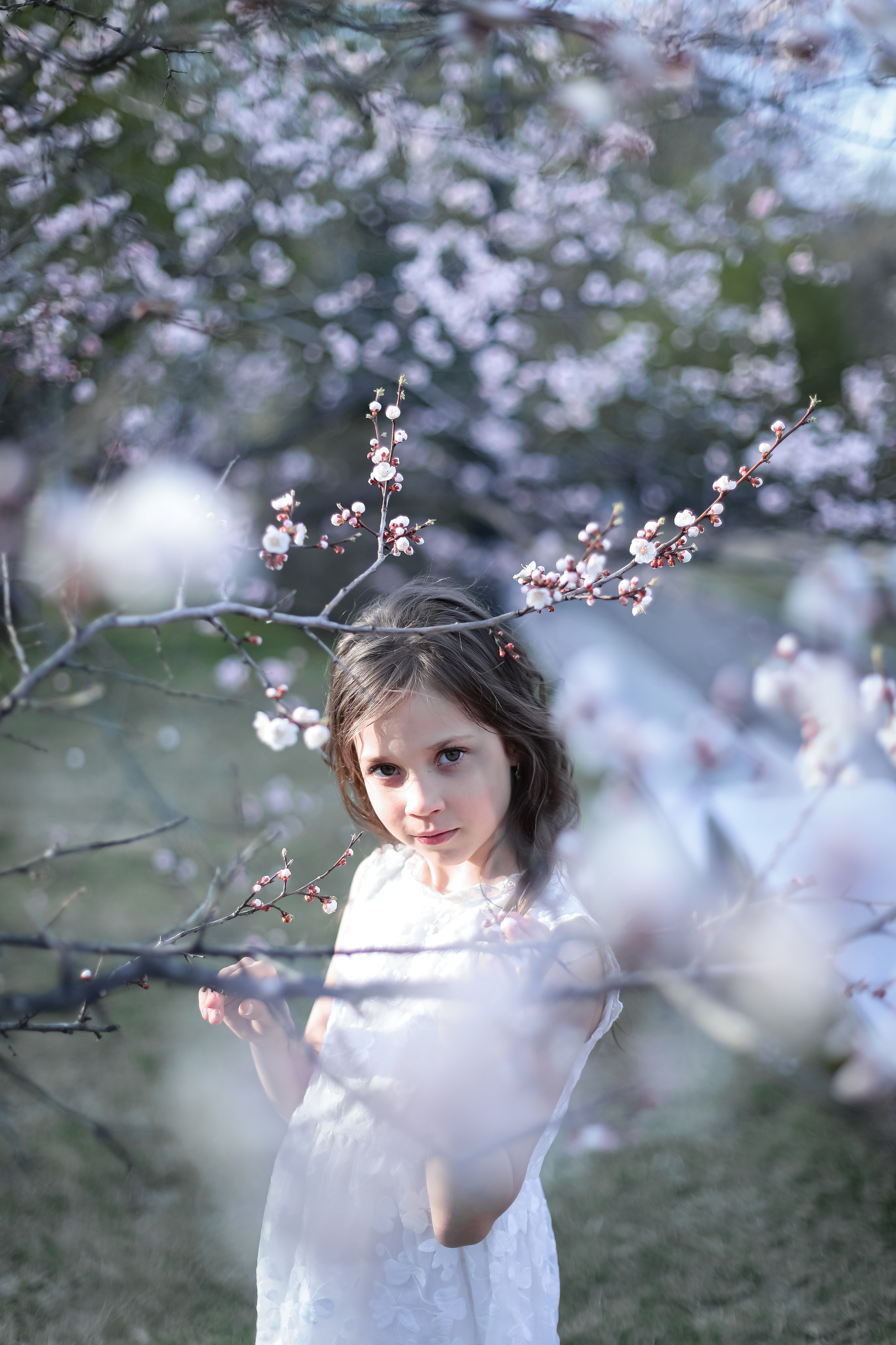 Фотосессия в цветении май 2023. Фотограф г. Хабаровск. Семейные и индивидуальные съёмки