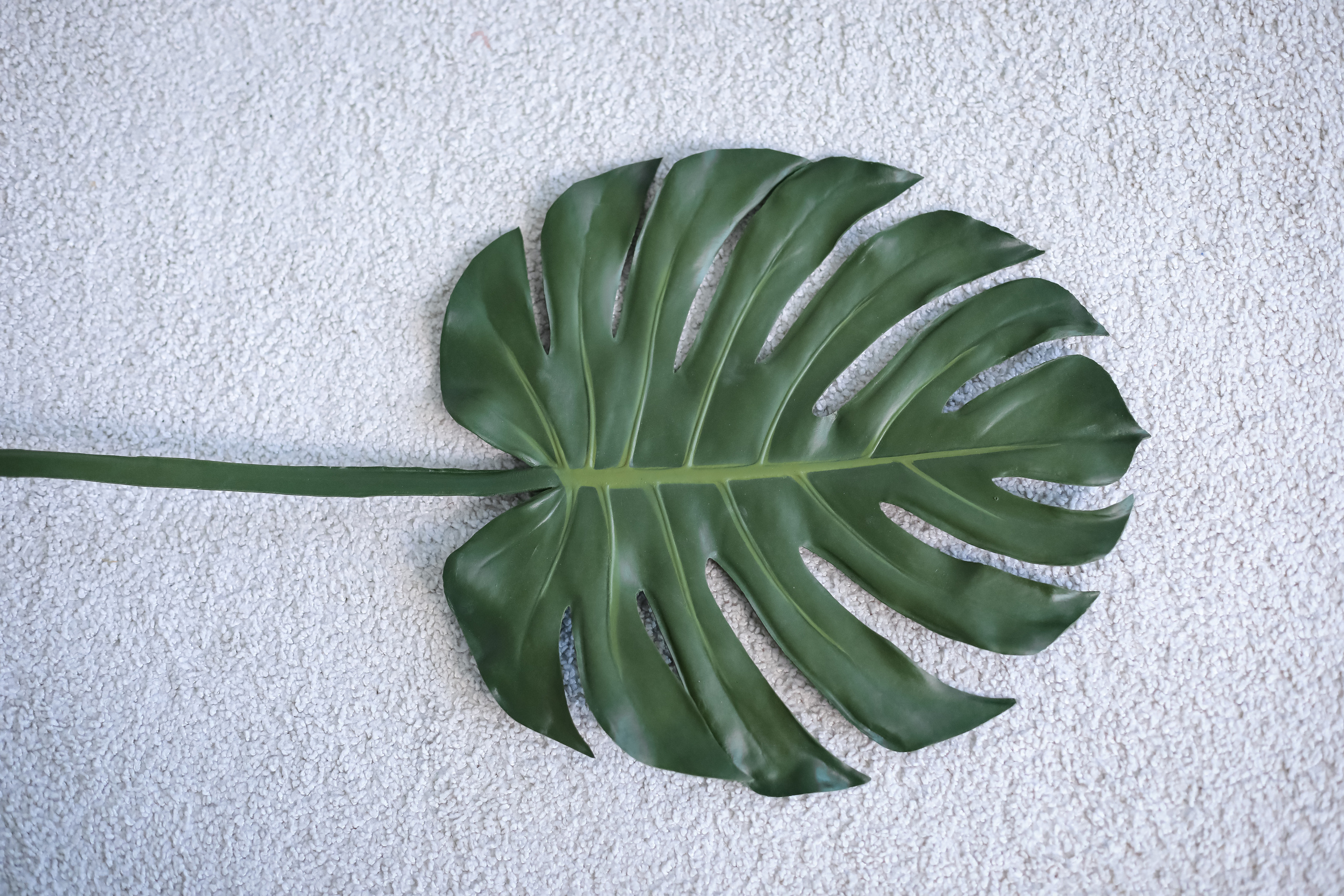 Женский психолог. Фотограф г. Хабаровск. Семейные и индивидуальные съёмки