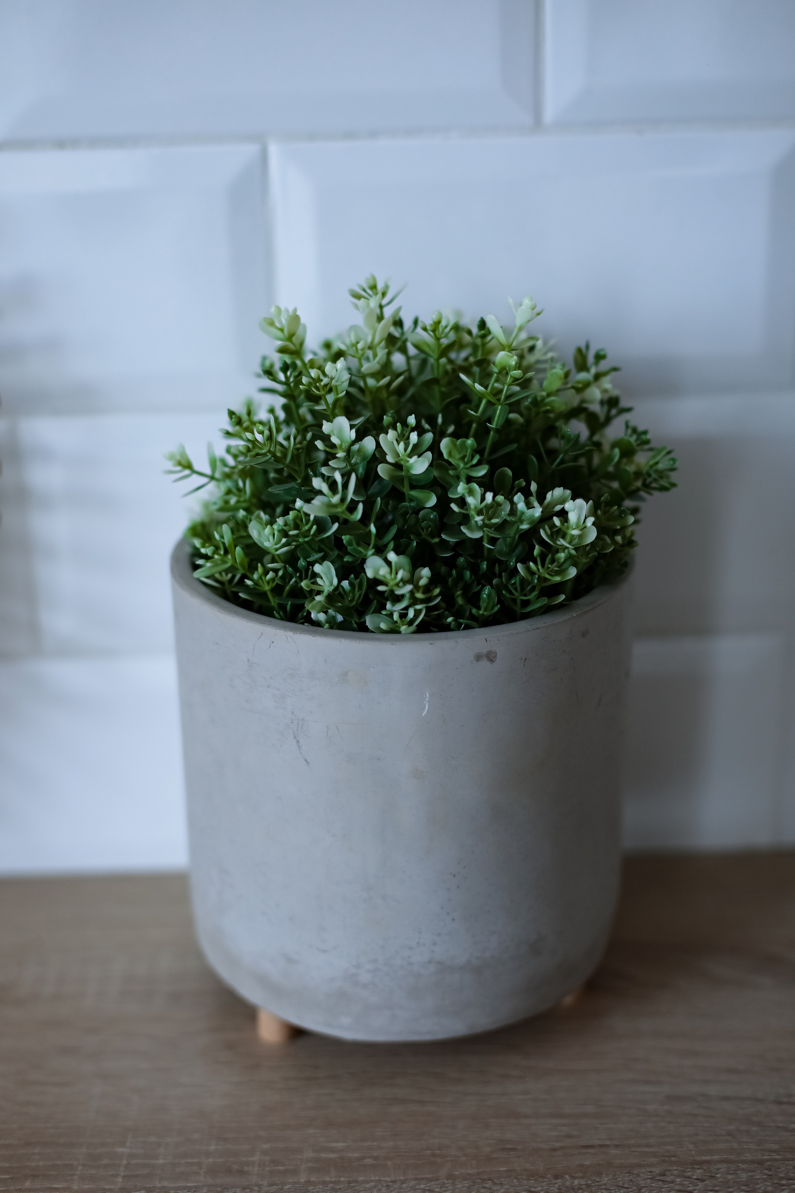 Татьяна, Илья и Ярослав. Фотограф г. Хабаровск. Семейные и индивидуальные съёмки