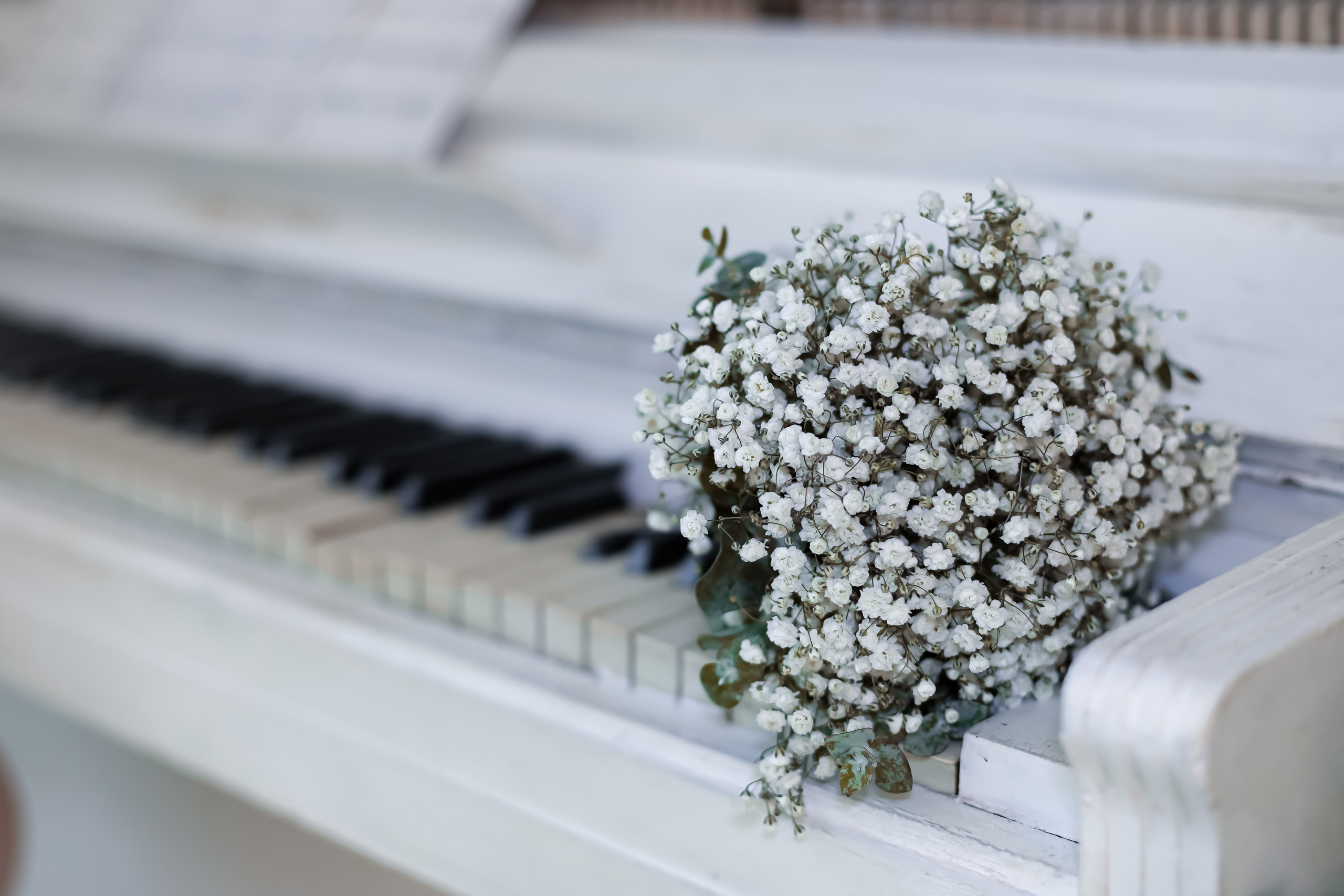 Валерии и Алексея. Фотограф г. Хабаровск. Семейные и индивидуальные съёмки