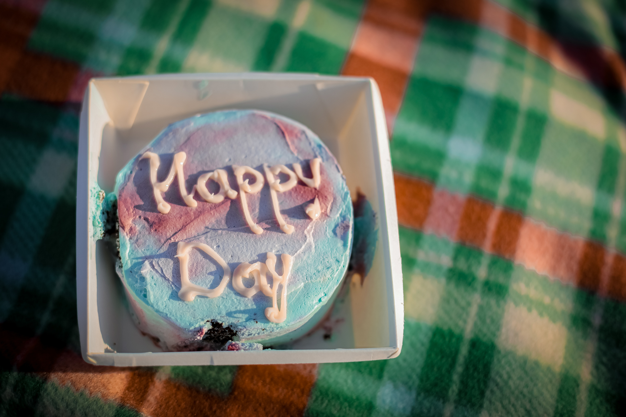 Оля и Артем в сосновом лесу. Фотограф г. Хабаровск. Семейные и индивидуальные съёмки