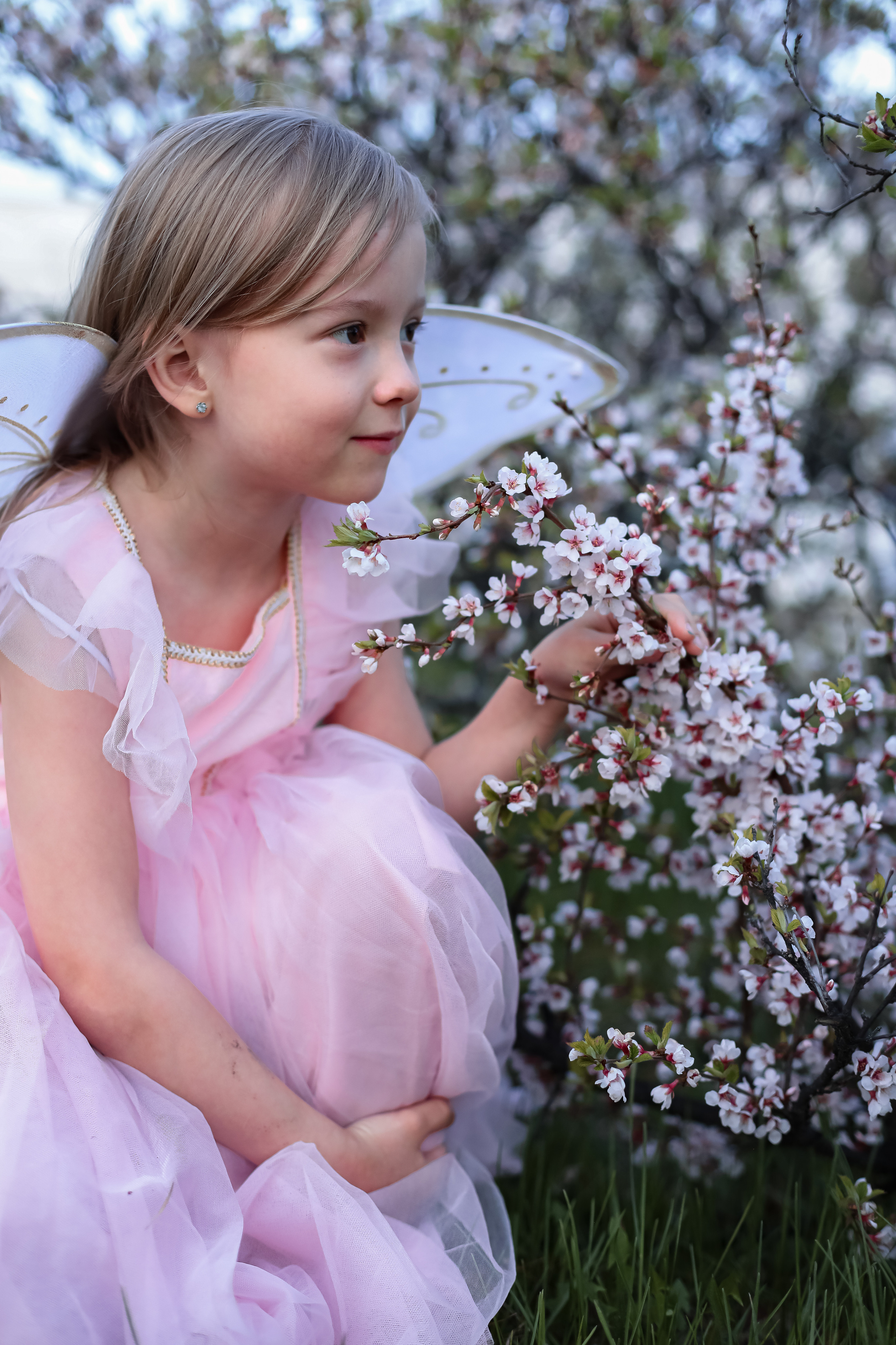 Май 2023. Фотограф г. Хабаровск. Семейные и индивидуальные съёмки