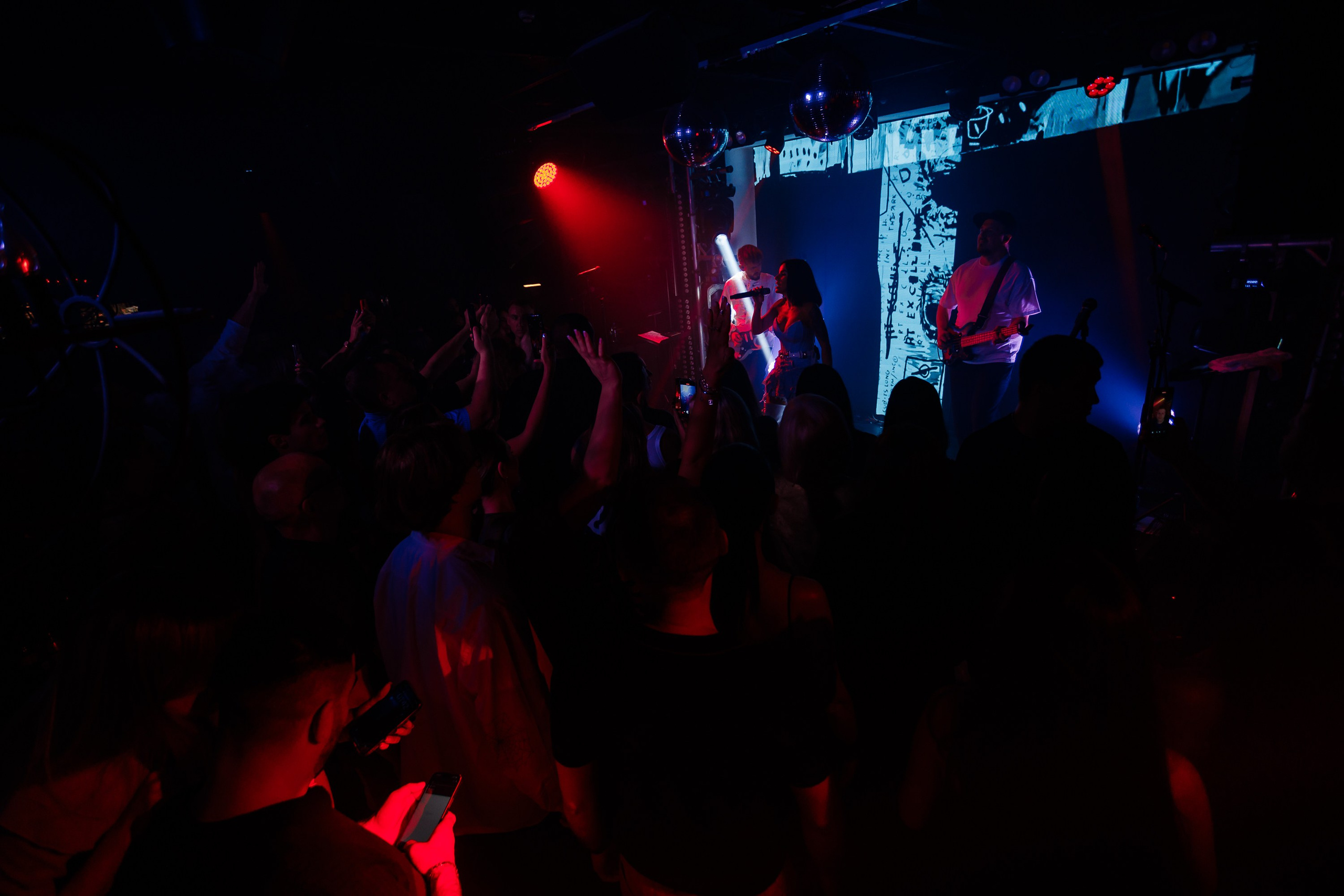 «Юлия Волкова"_Чайка на пляже_Ялта_2.08.2025 г. Аминов Руслан | Фотограф