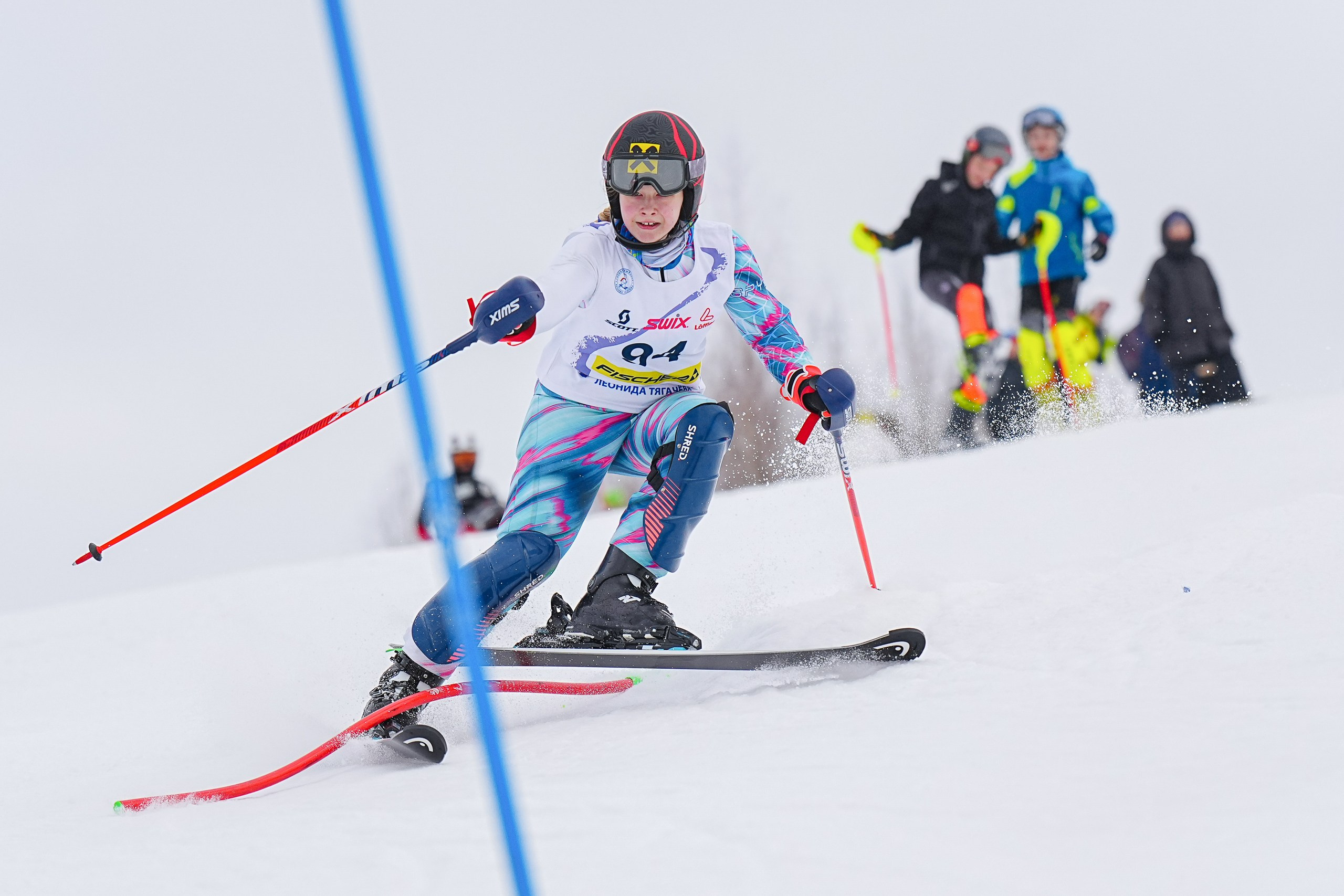 SL (Slalom) - Слалом. Соревнования по горнолыжному спорту. Московская область, Шуколово