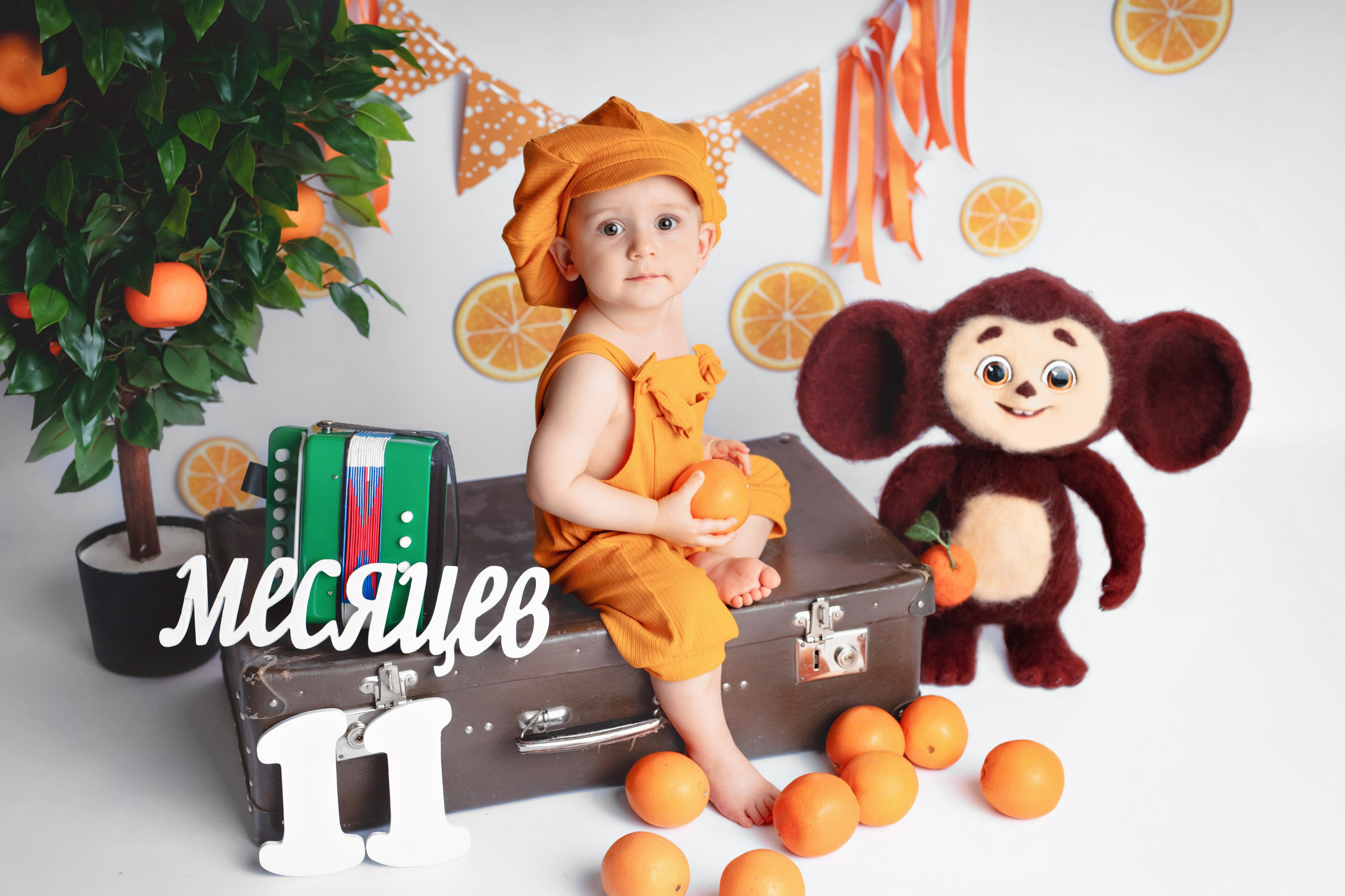 Апельсины. Фотограф Болотова Иветта