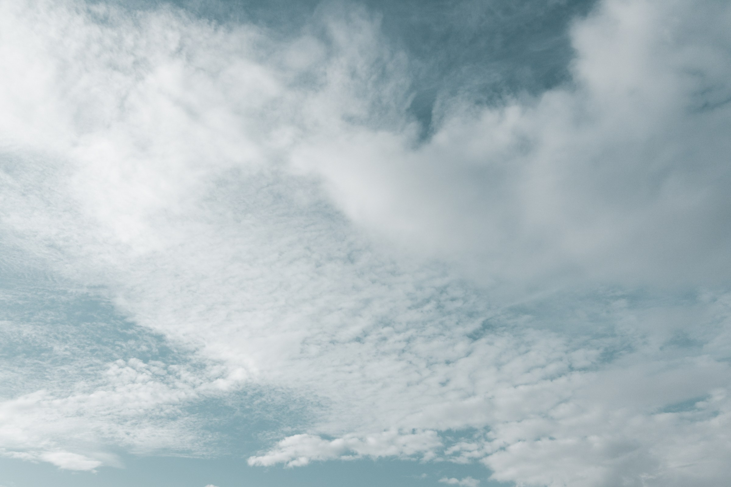 Травяной чилл. Свадебный фотограф Марьям Сайфулина г. Красноярск