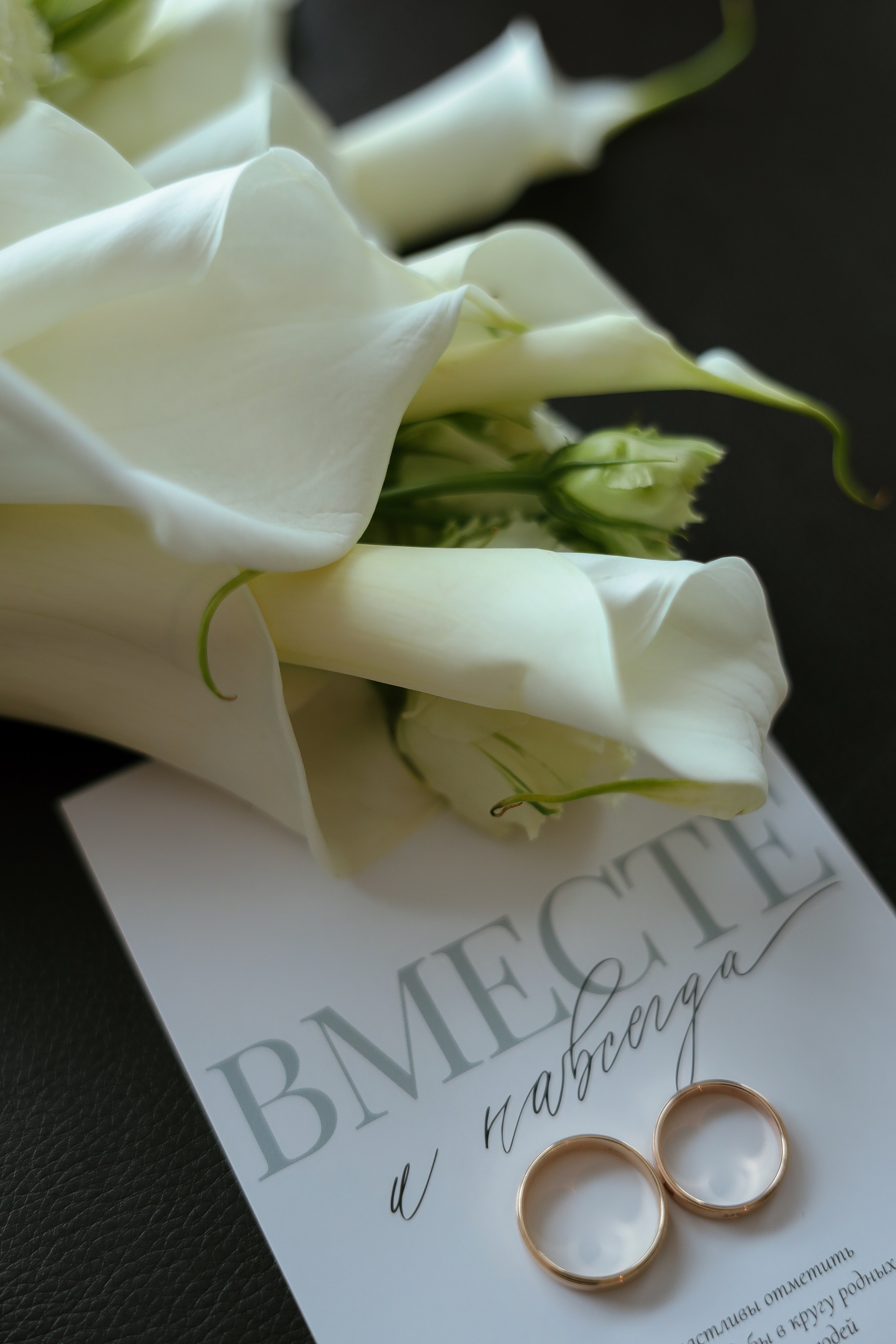 Portfolio. Свадебный фотограф Москва