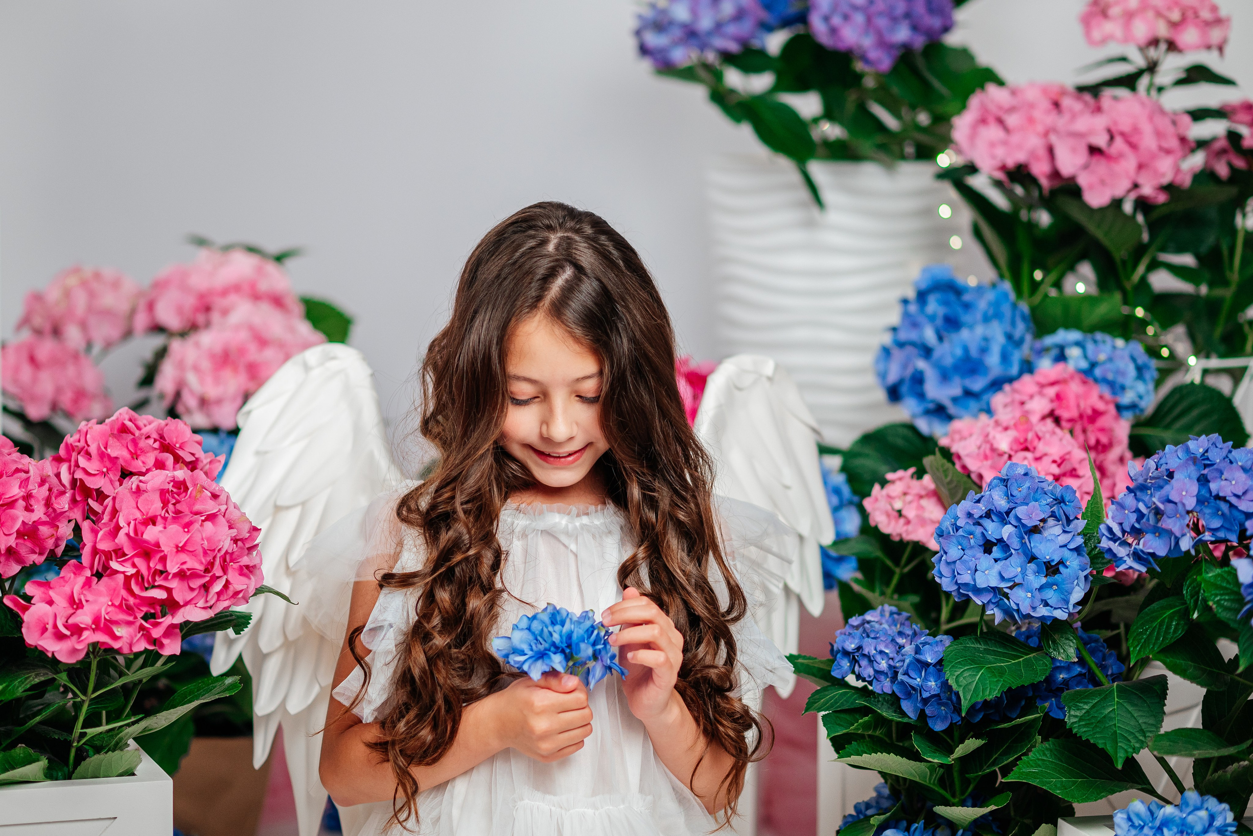 Вероника и гортензии. Семейный фотограф в Краснодаре