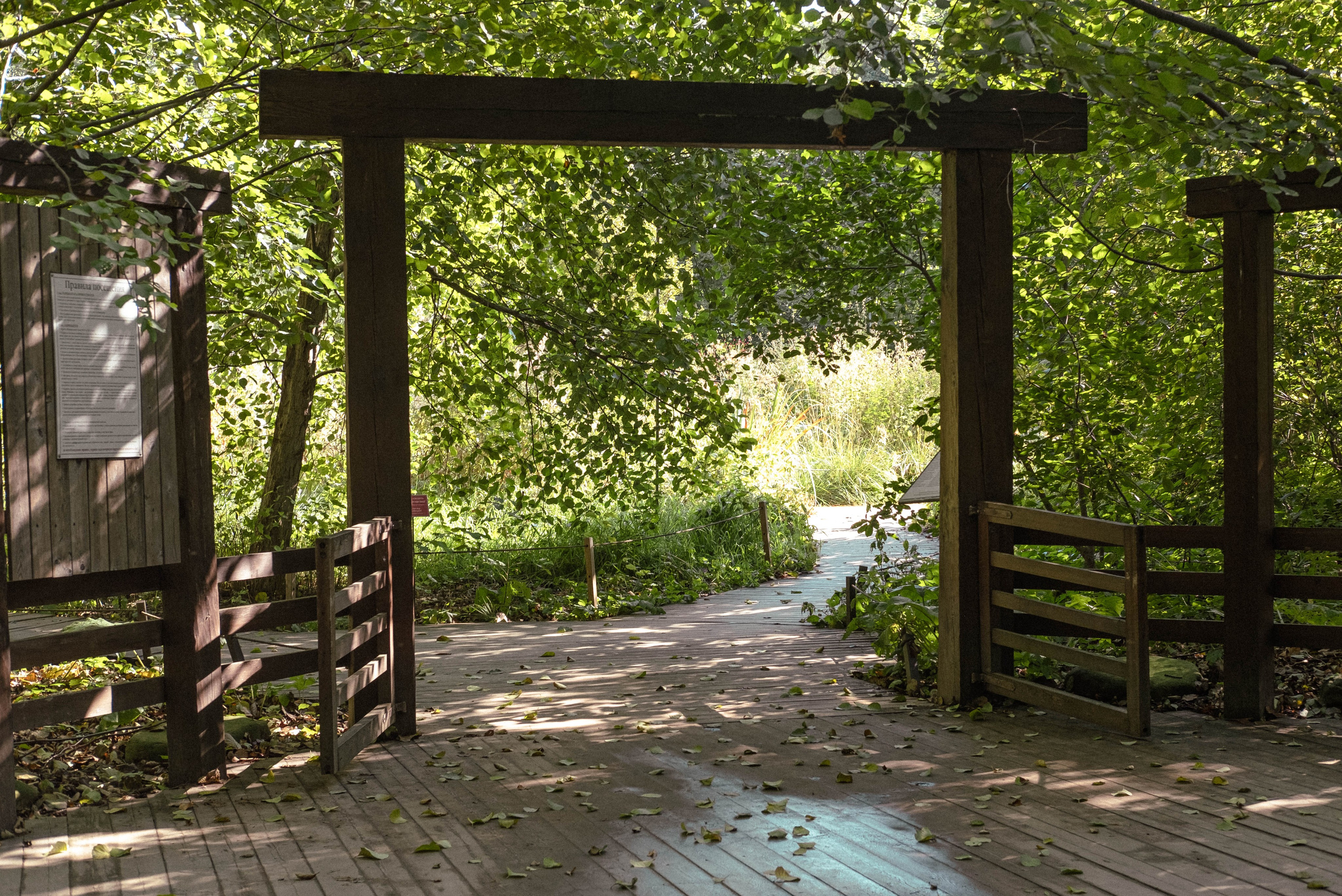 Москва 2024. Свадебный и семейный фотограф в Новосибирске, Санкт-Петербурге, Москве