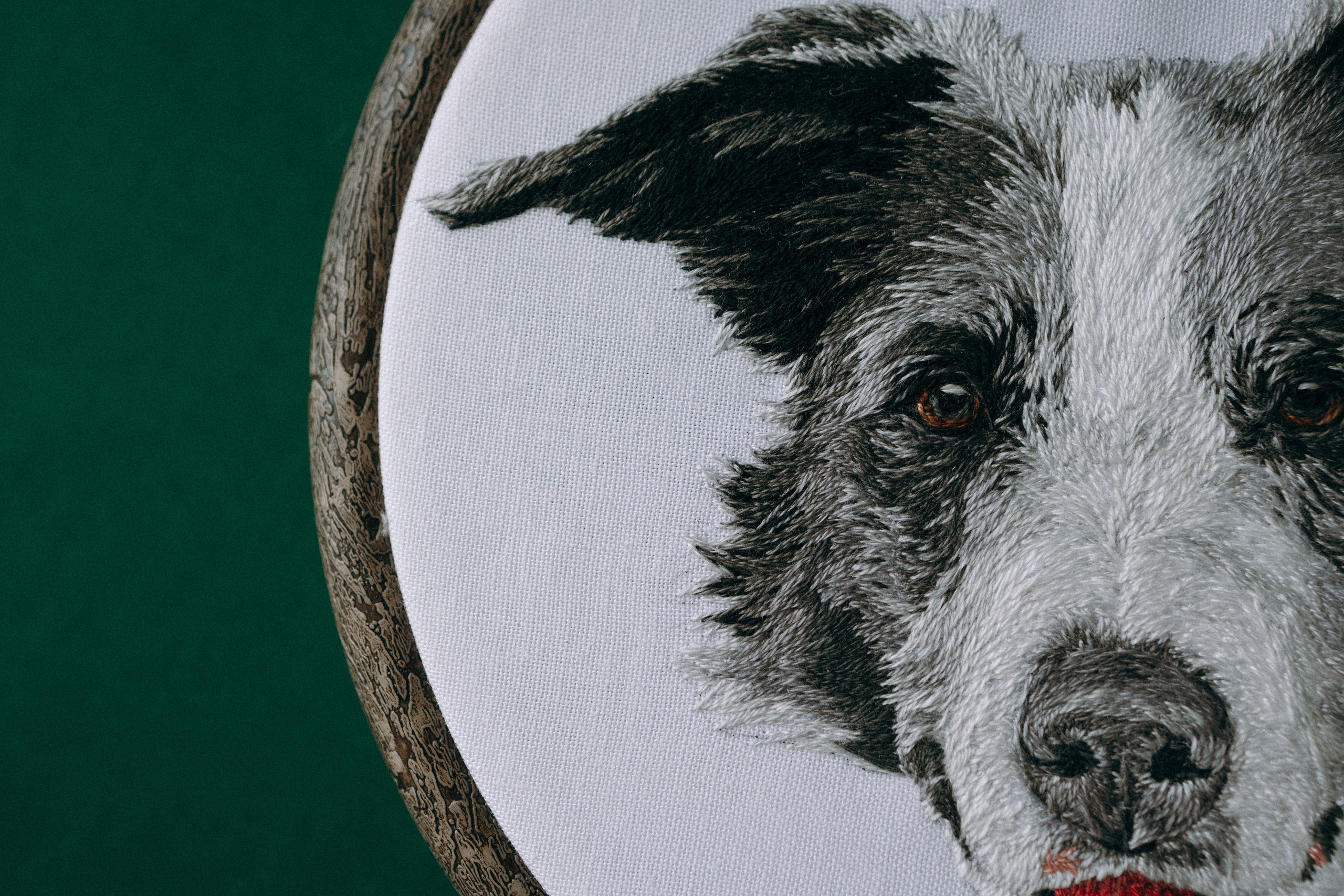 Портфолио. Портретная вышивка питомцев