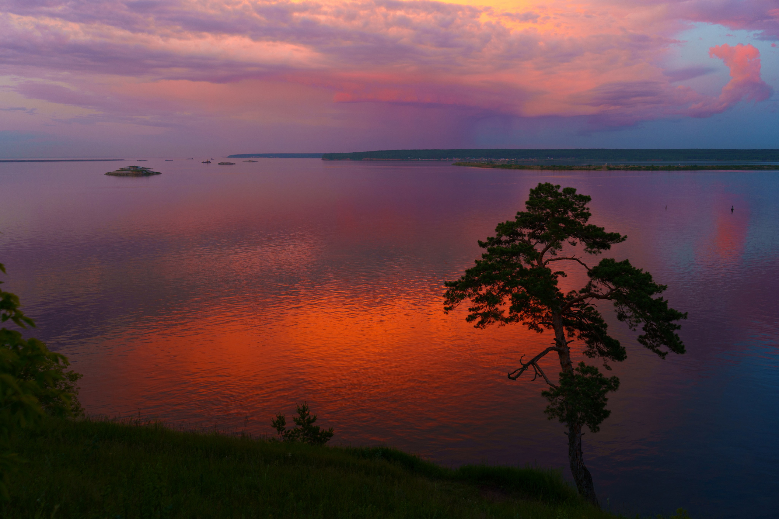 ЦВЕТНЫЕ ФОТОГРАФИИ. Никита Аничкин фото и видео оператор из России