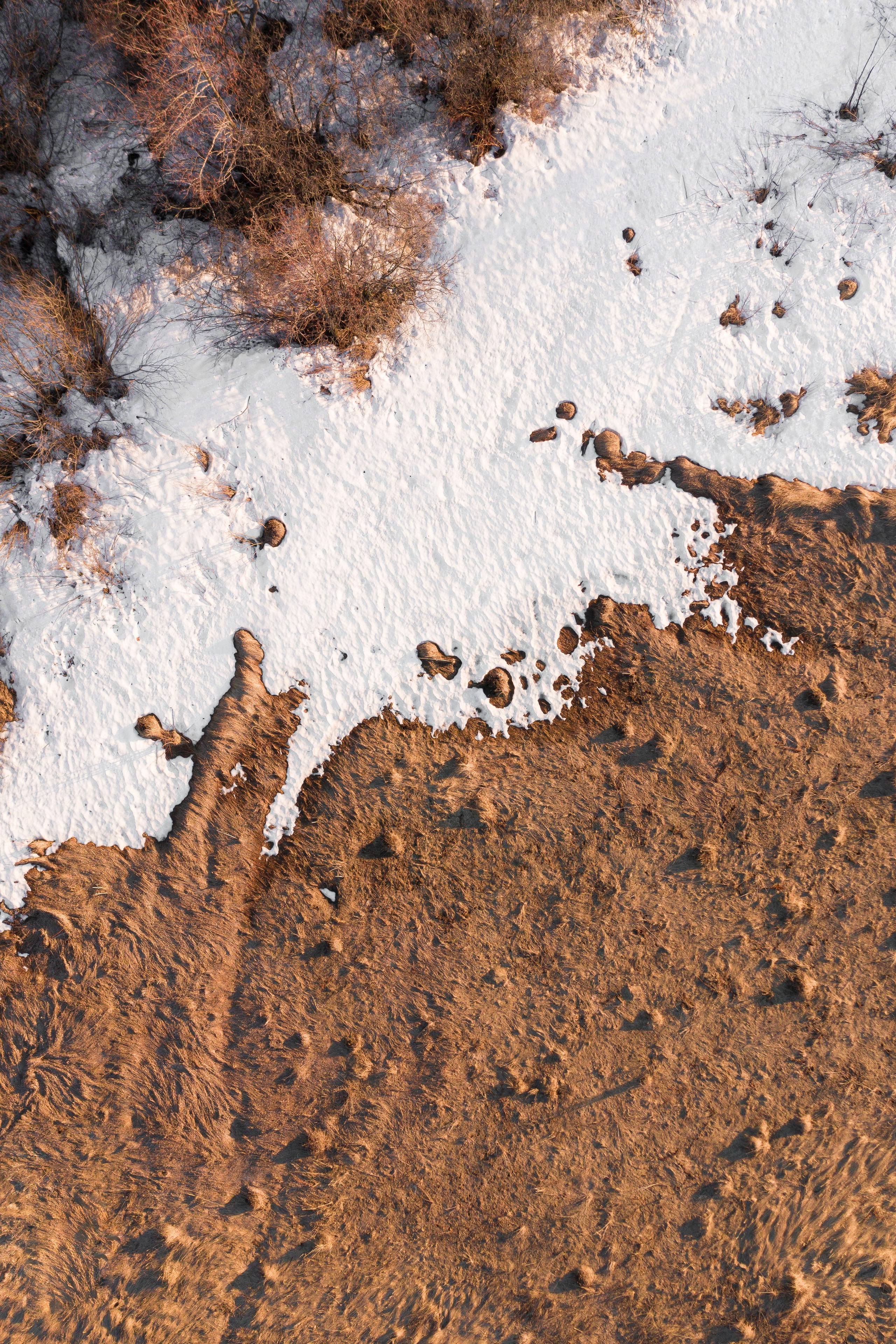 ЦВЕТНЫЕ ФОТОГРАФИИ. Никита Аничкин фото и видео оператор из России