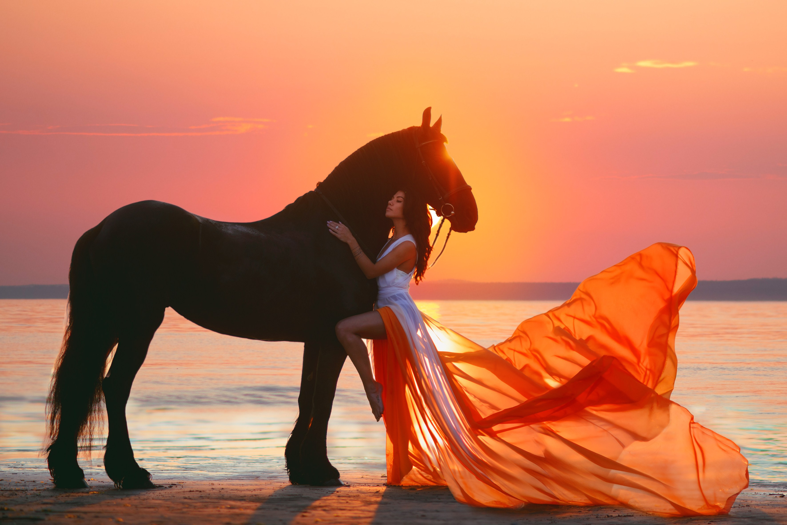 Обучение у DixiLarina. Конный фотограф в Красноярске — Любовь Похабова