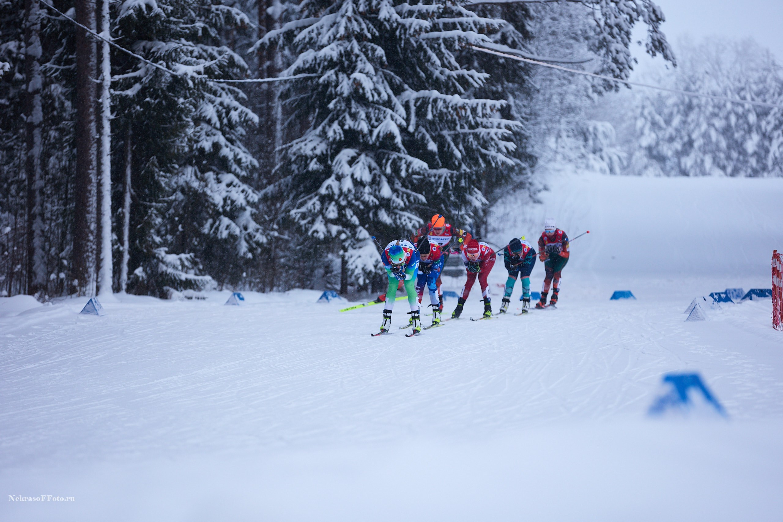 Кубок России по Лыжным гонкам. Спортивный фотограф Некрасов Денис