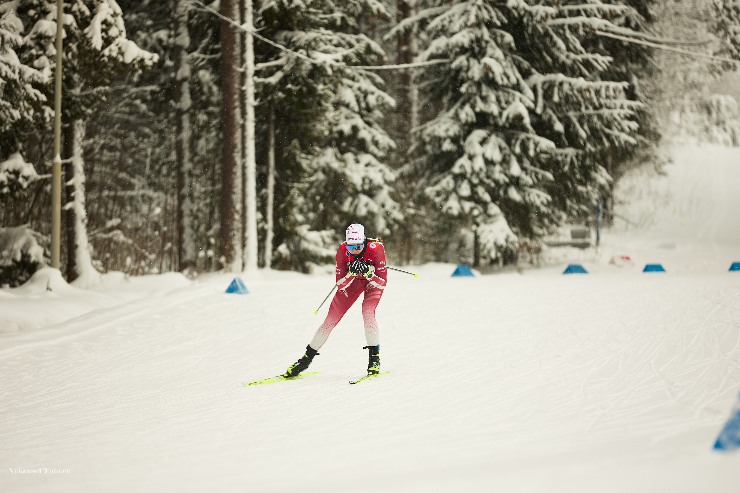 Кубок России по Лыжным гонкам. Спортивный фотограф Некрасов Денис