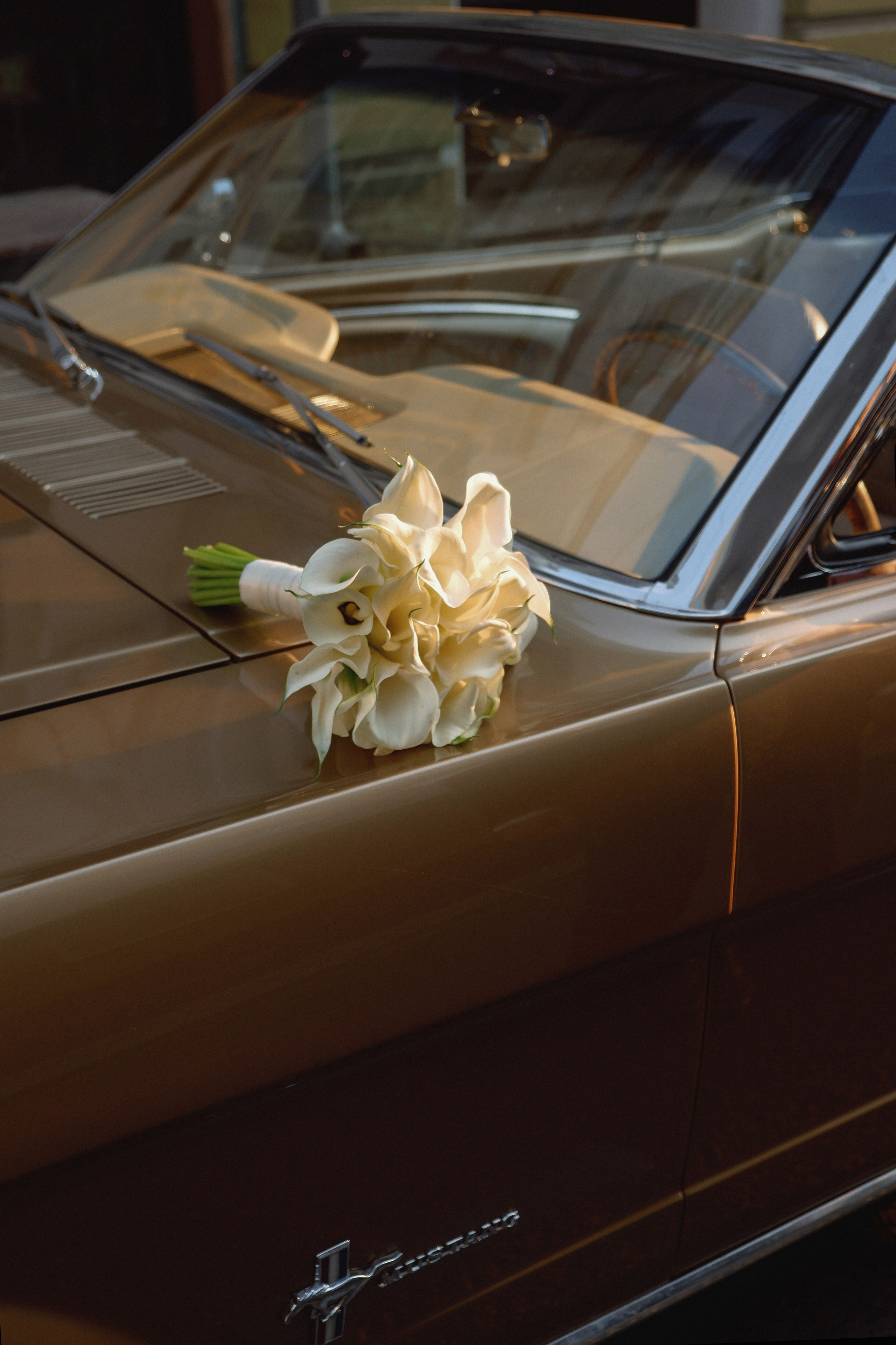 Свадебные истории. Маркова Мария — душевный фотограф со вкусом и стилем