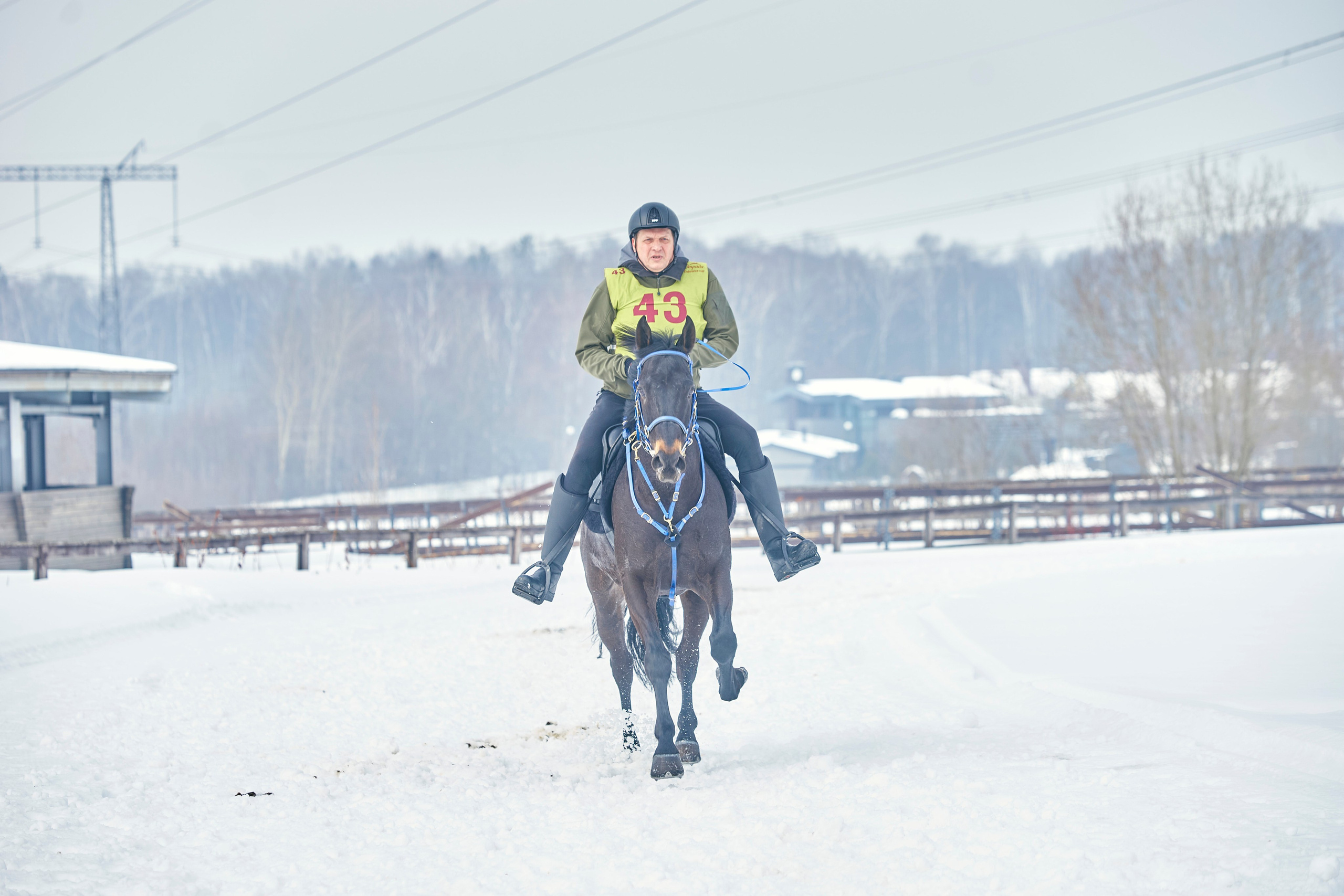 HORSE RACING. Фотограф Наталья Леонова