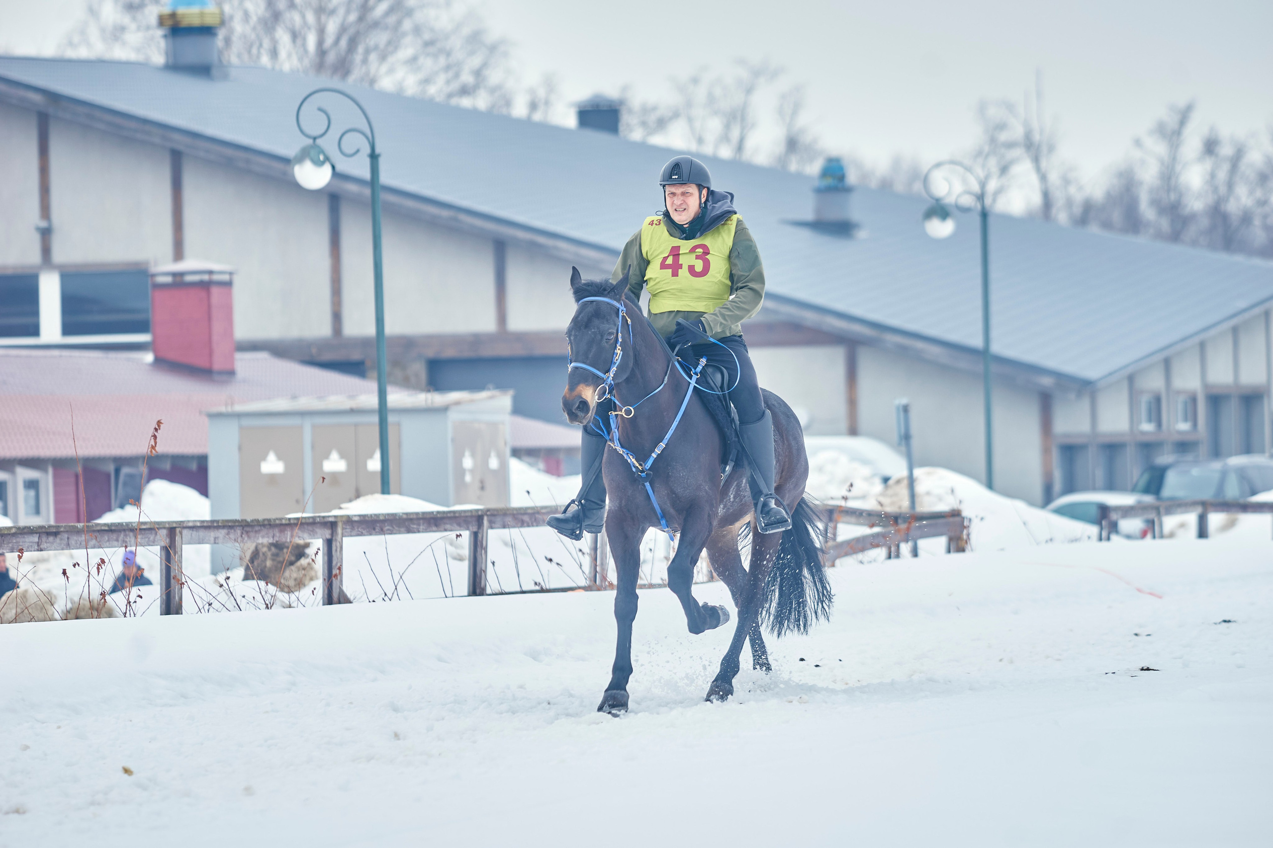 HORSE RACING. Фотограф Наталья Леонова