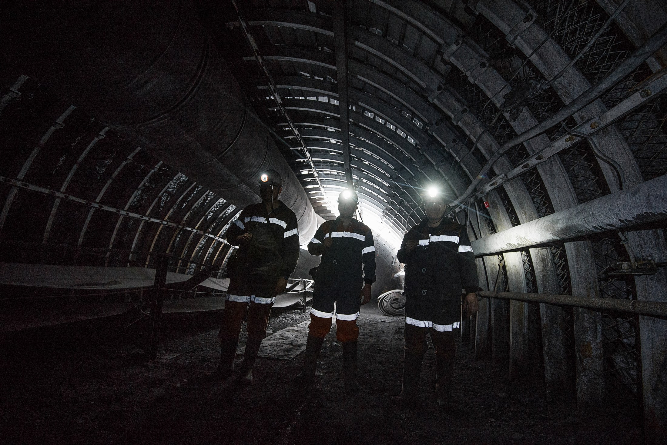 Для СМИ. Фотограф в Калининграде Сулейманов Амирхан