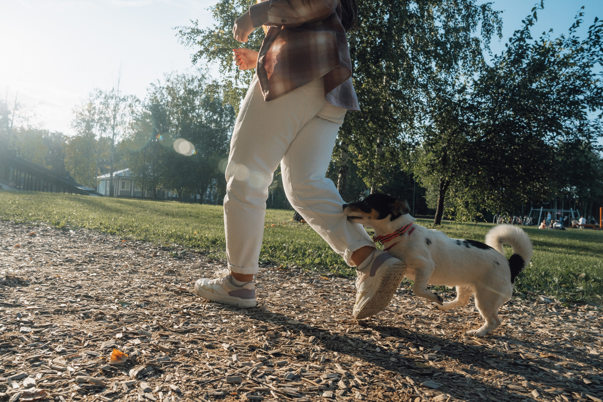 Аня и Луна. Фотограф и видеограф в Тюмени Екатерина Чернецкая