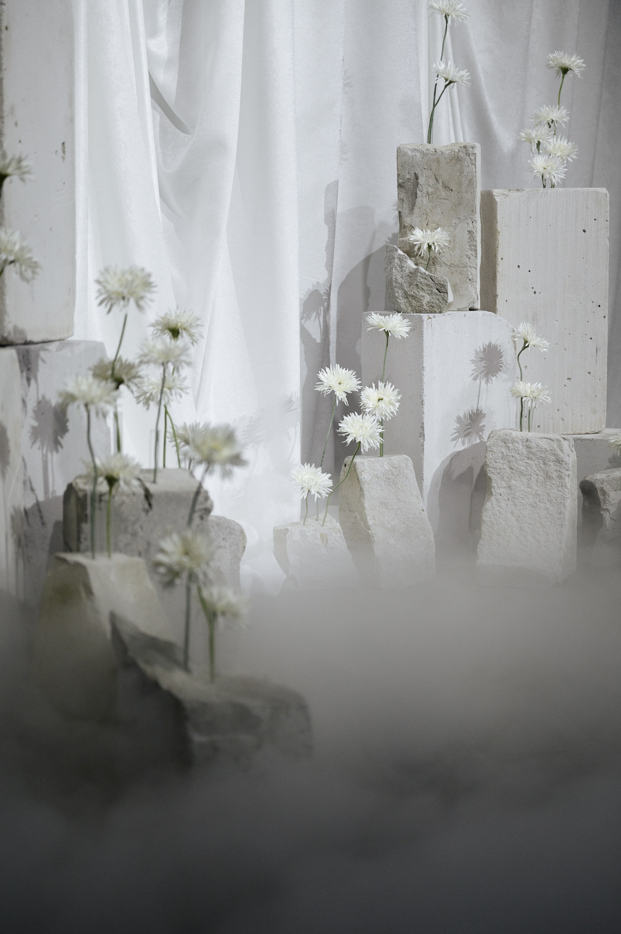 Антон и Виолета. Zhulanovilya