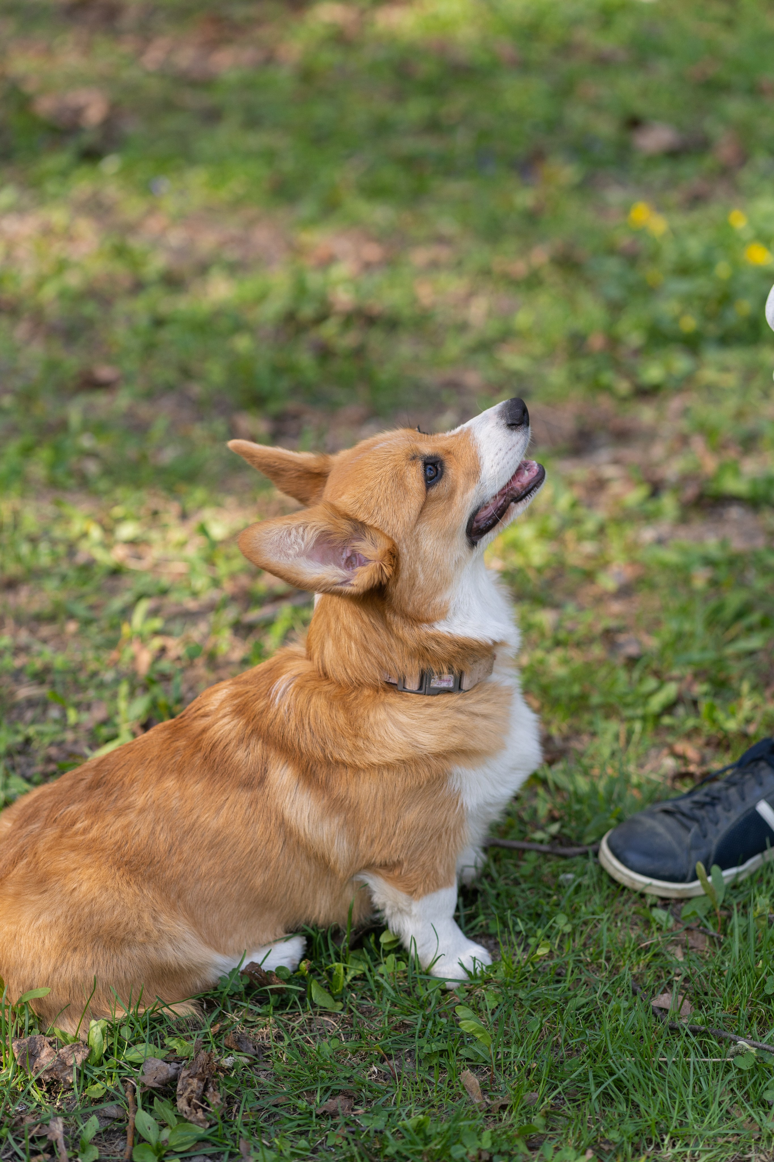 Саша, Настя, Луна. Свадебный фотограф в Москве Анна Полушина