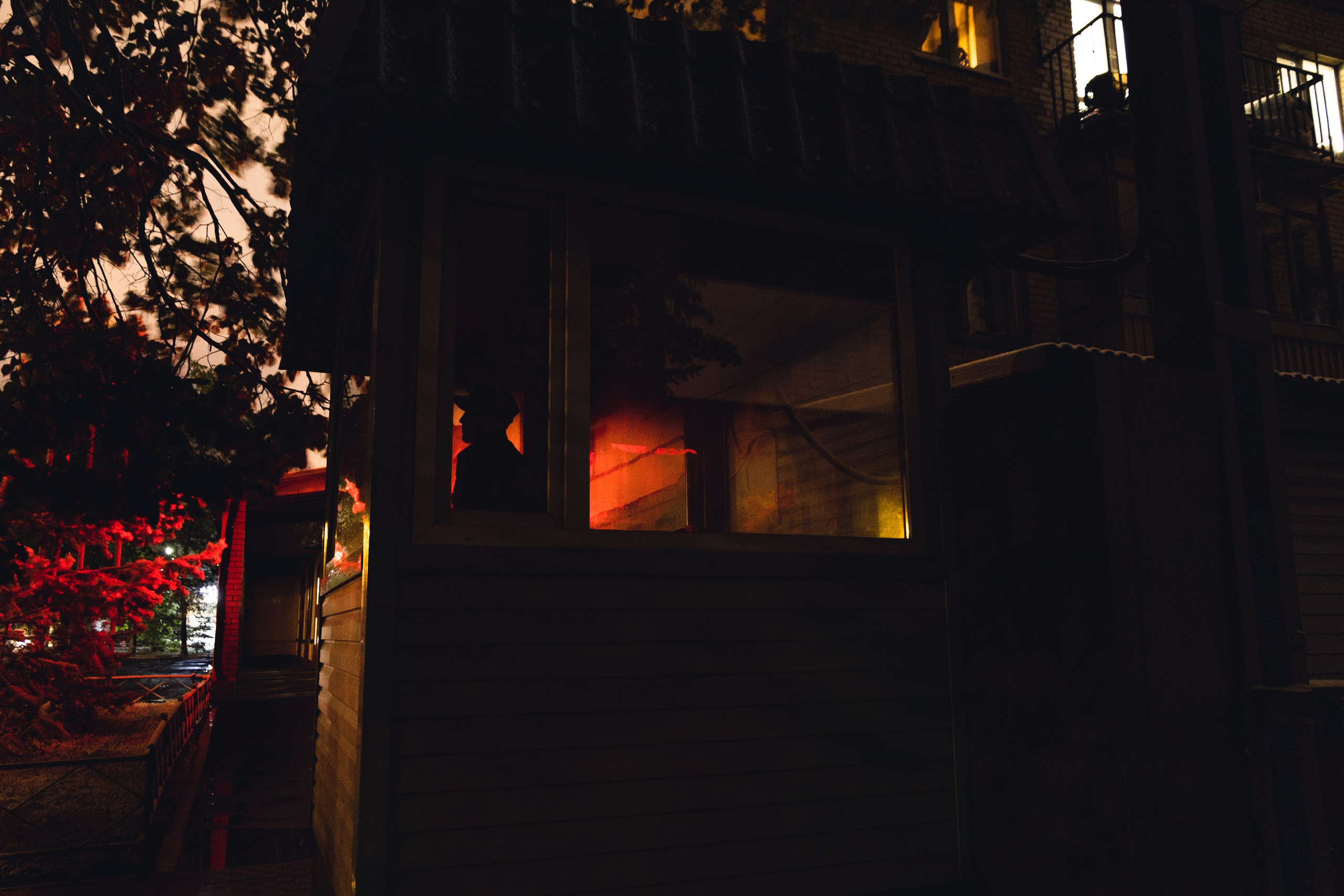 Часть. DASHA KALNINA