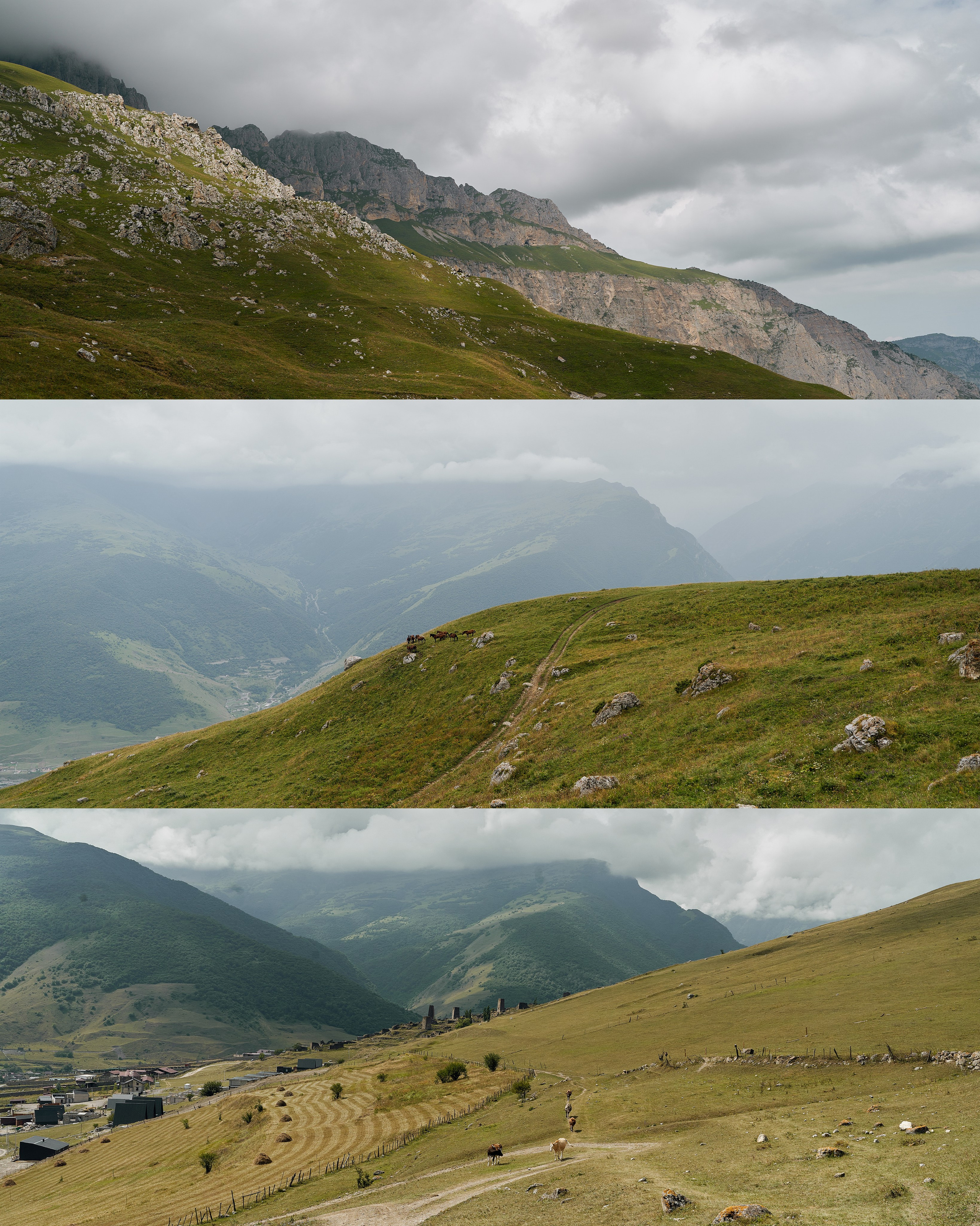 Блог. Фотограф и видеограф Елена Хмелевская