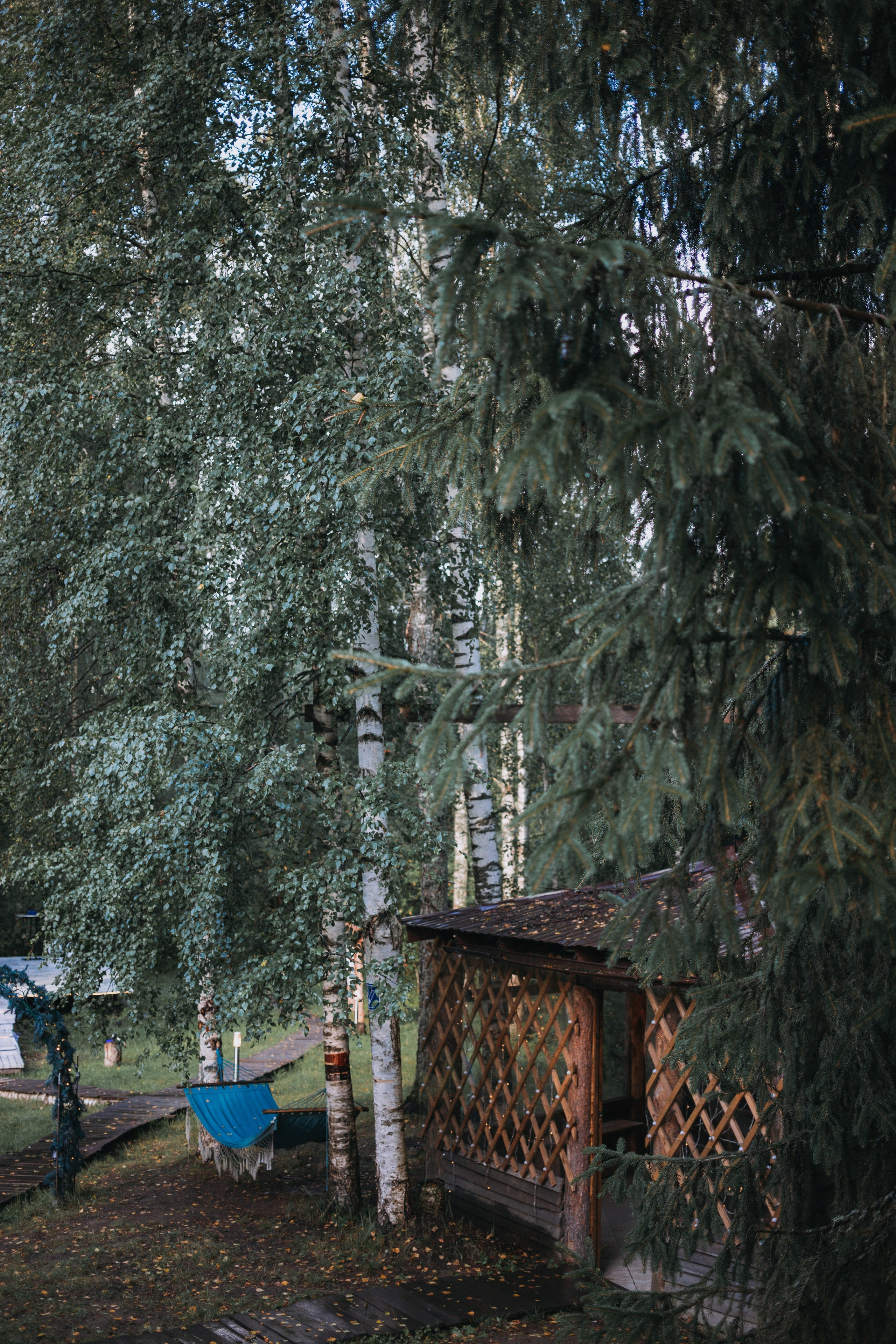 Ролевка по Королю и шуту. Репортажный фотограф Анастасия Головко