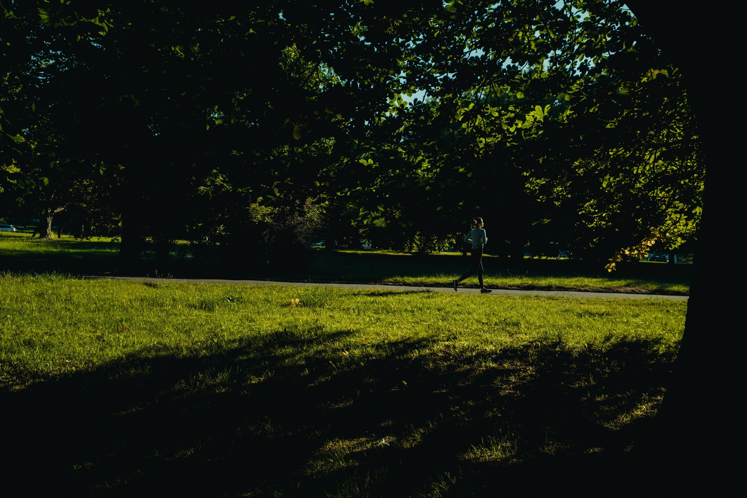 Фотографии Калининграда и красивых мест калининградской области. Портретный, репортажный и пейзажный фотограф в Москве Сергей Арест