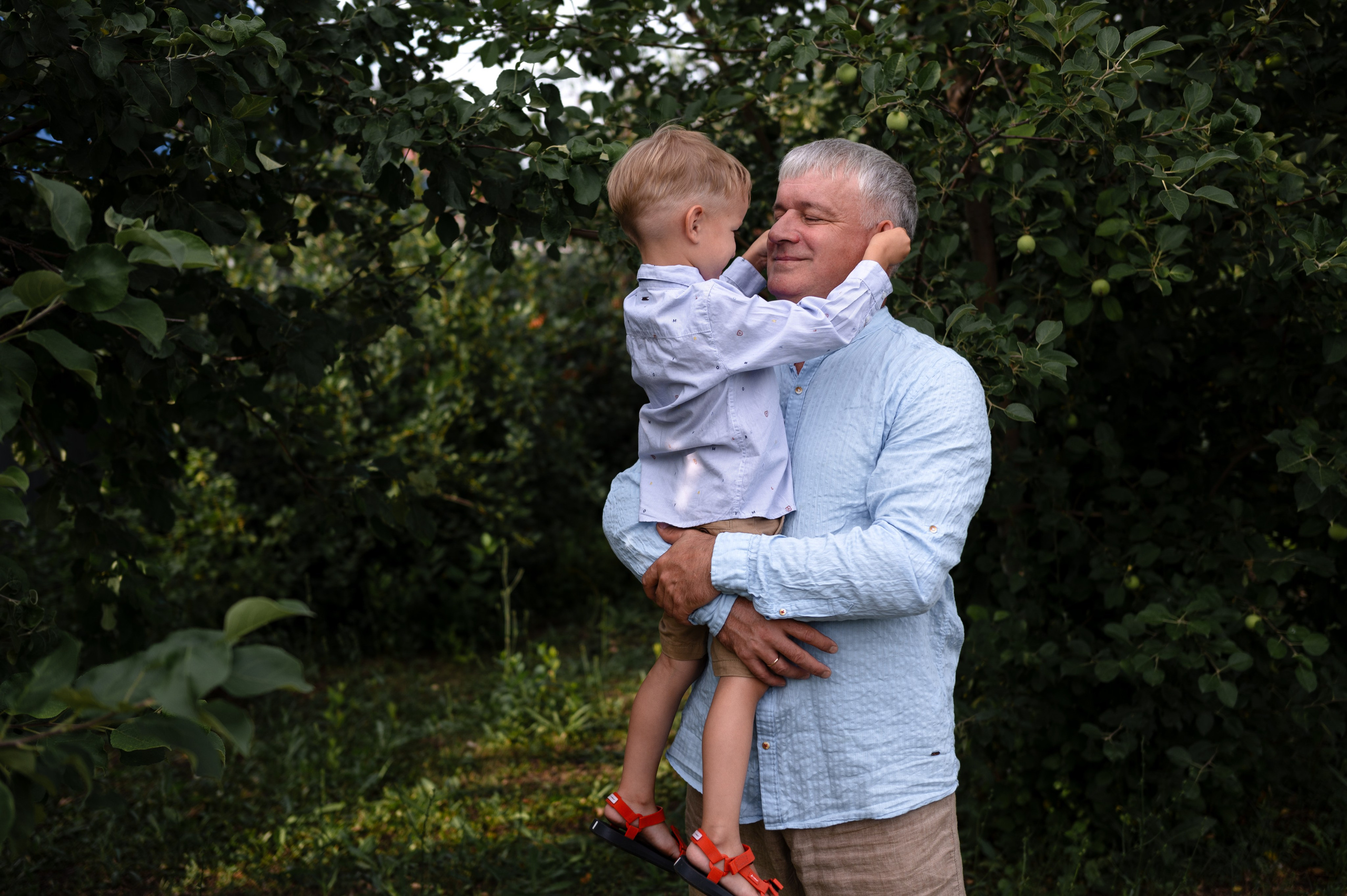 Ромашки и утята. Главная