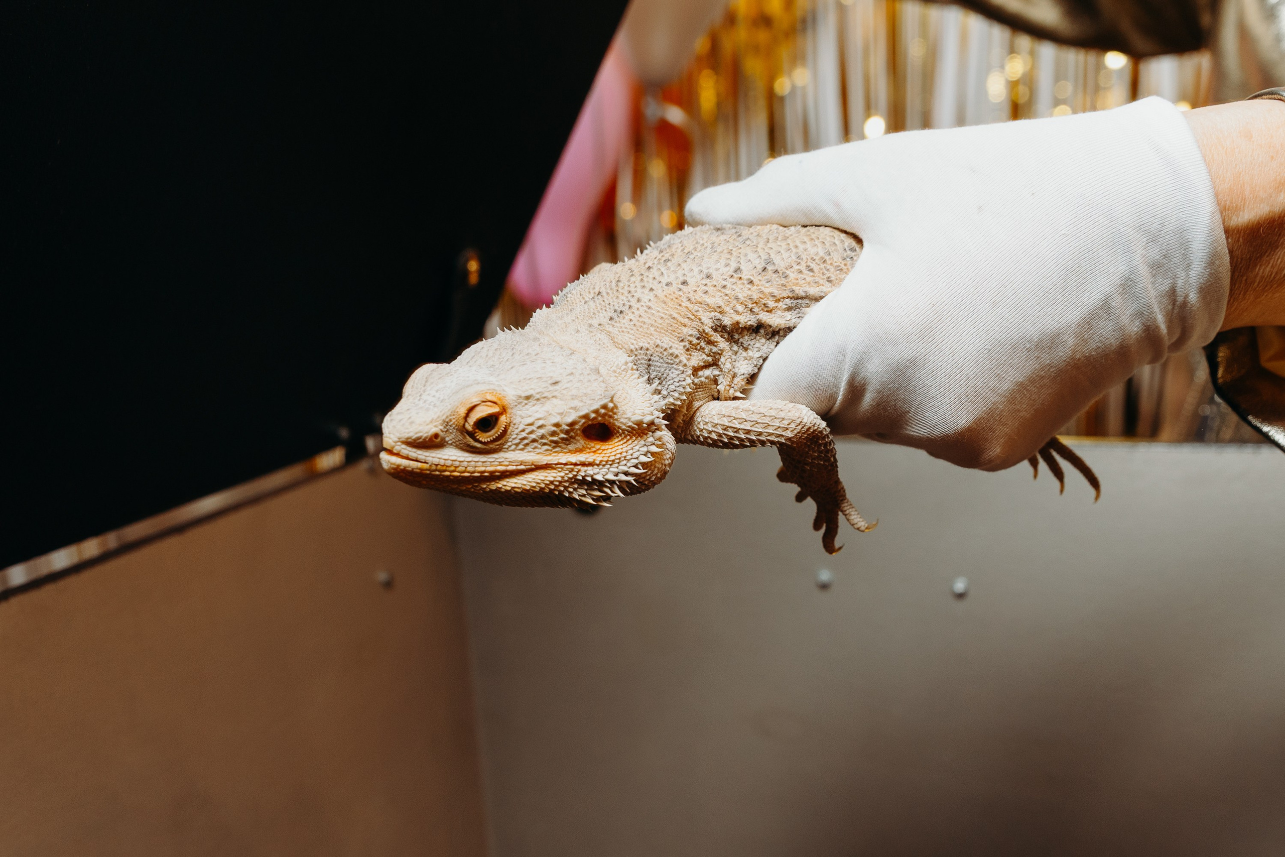 Кира 7 лет. Фотограф Вадим Казусь