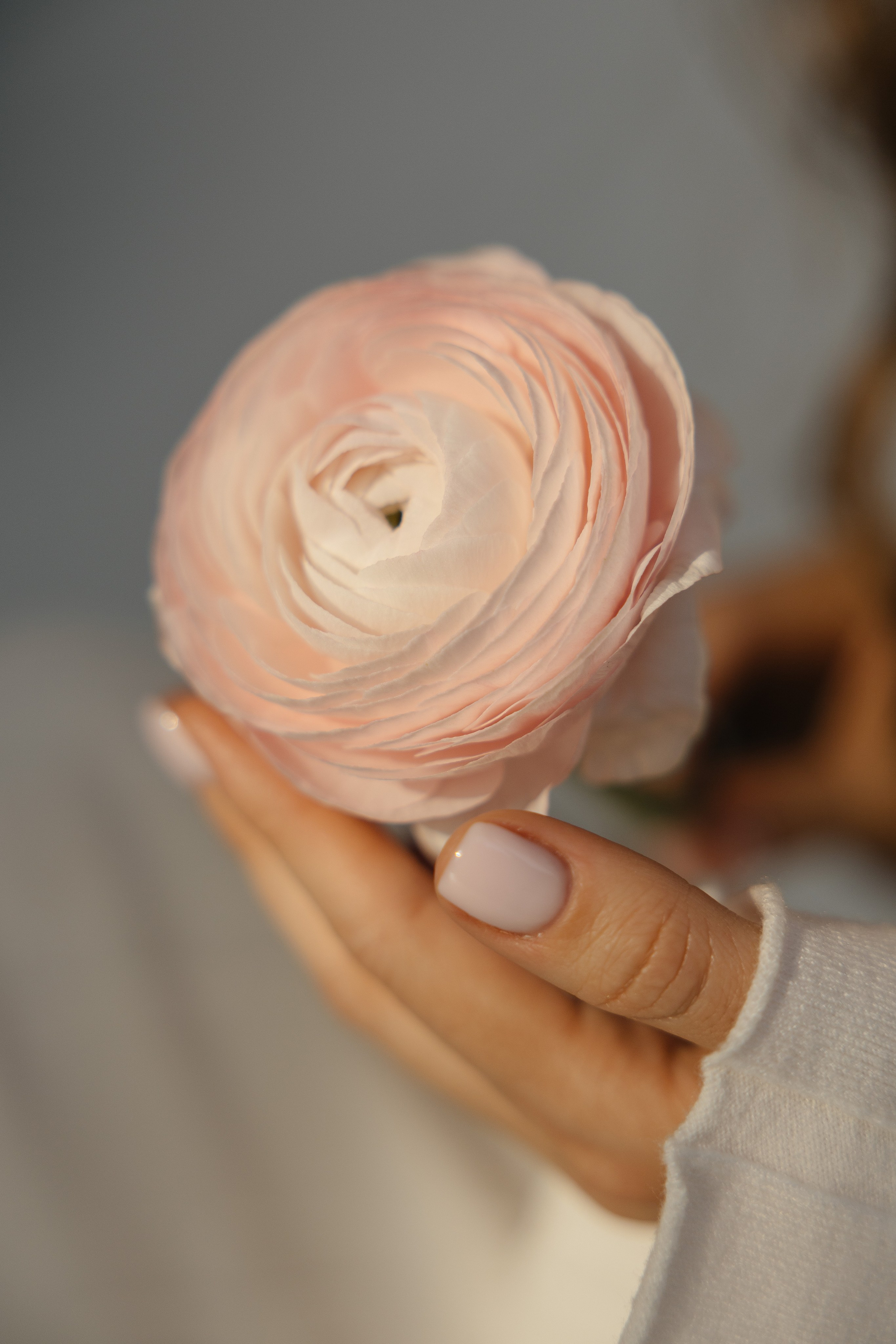 Диана. Фотограф Сотникова Вероника