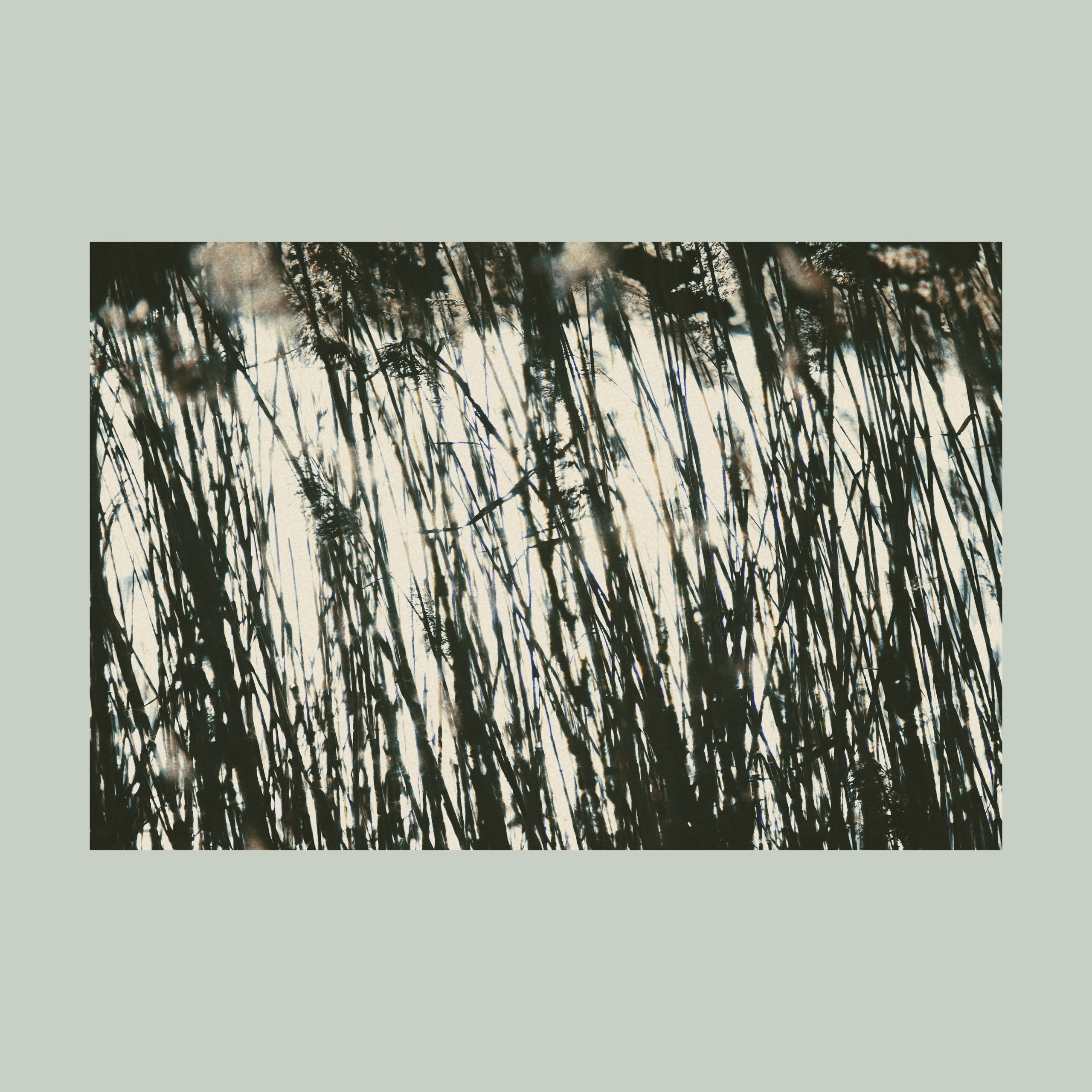 Тишина между берегами (серия). Мистические фотосессии в Санкт-Петербурге от мистика Ильи Шенгелия