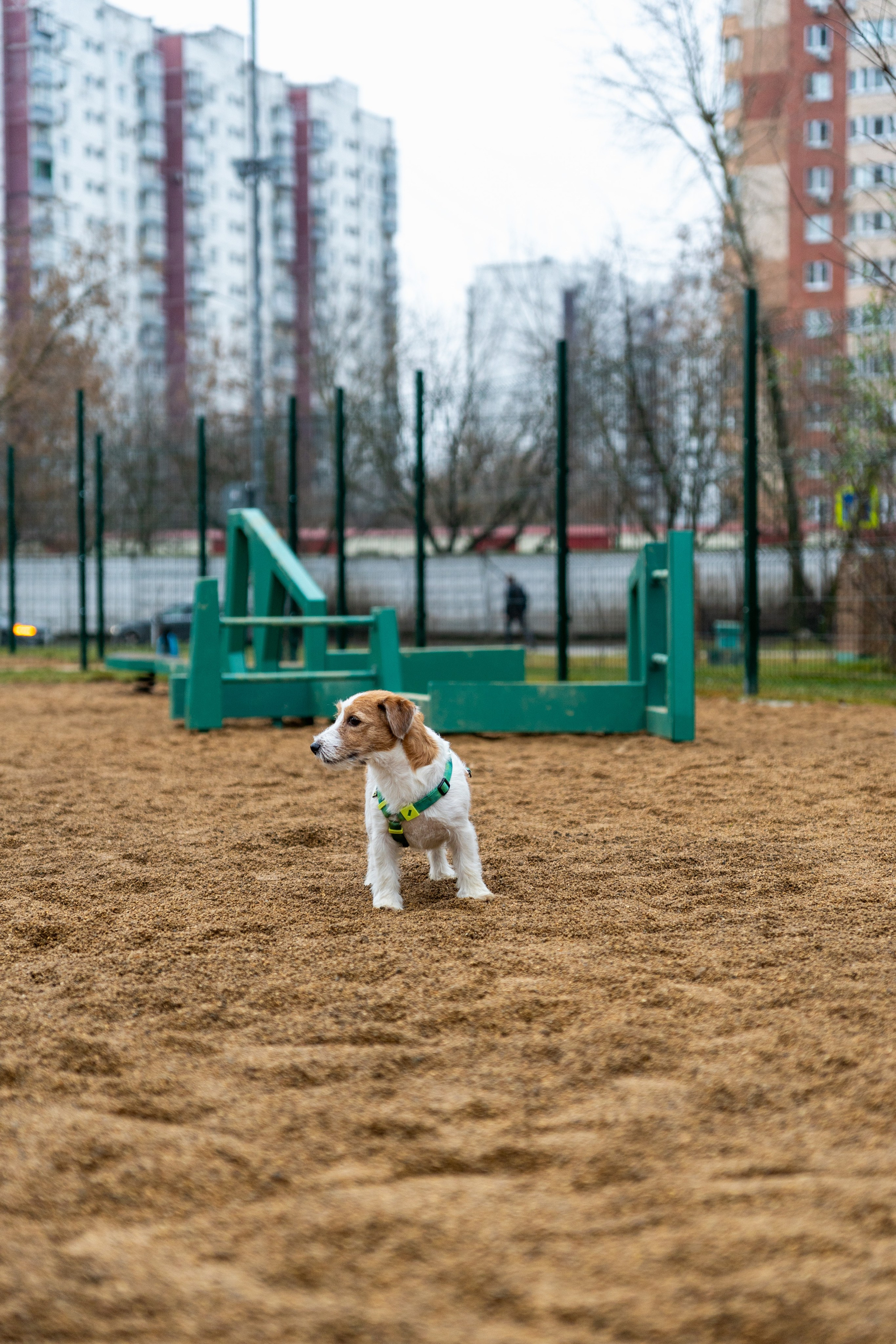 Площалка. Фотограф в Москве Лера Голубенко