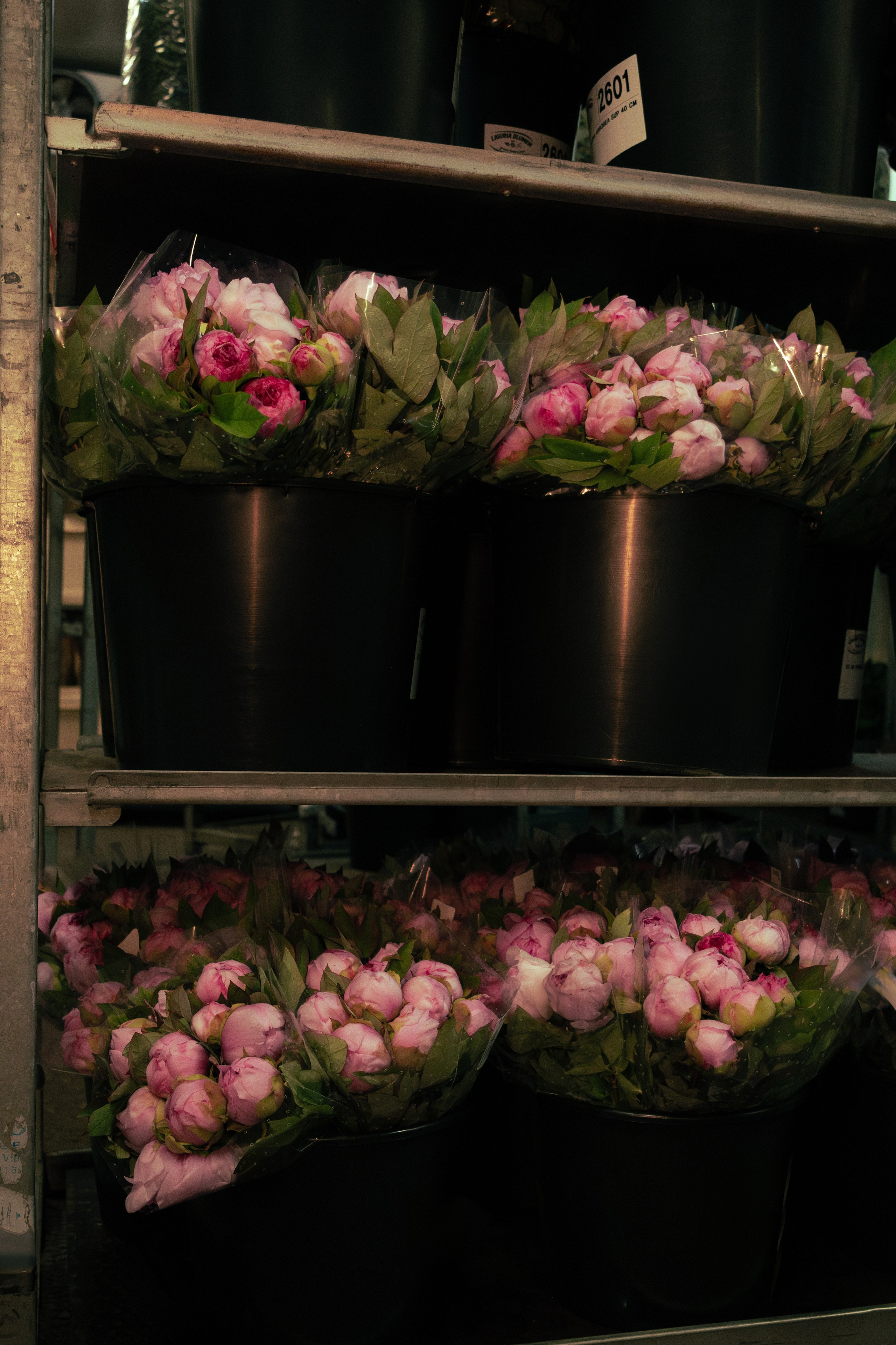 Flower warehouse. Фотограф Дарья Карпенко