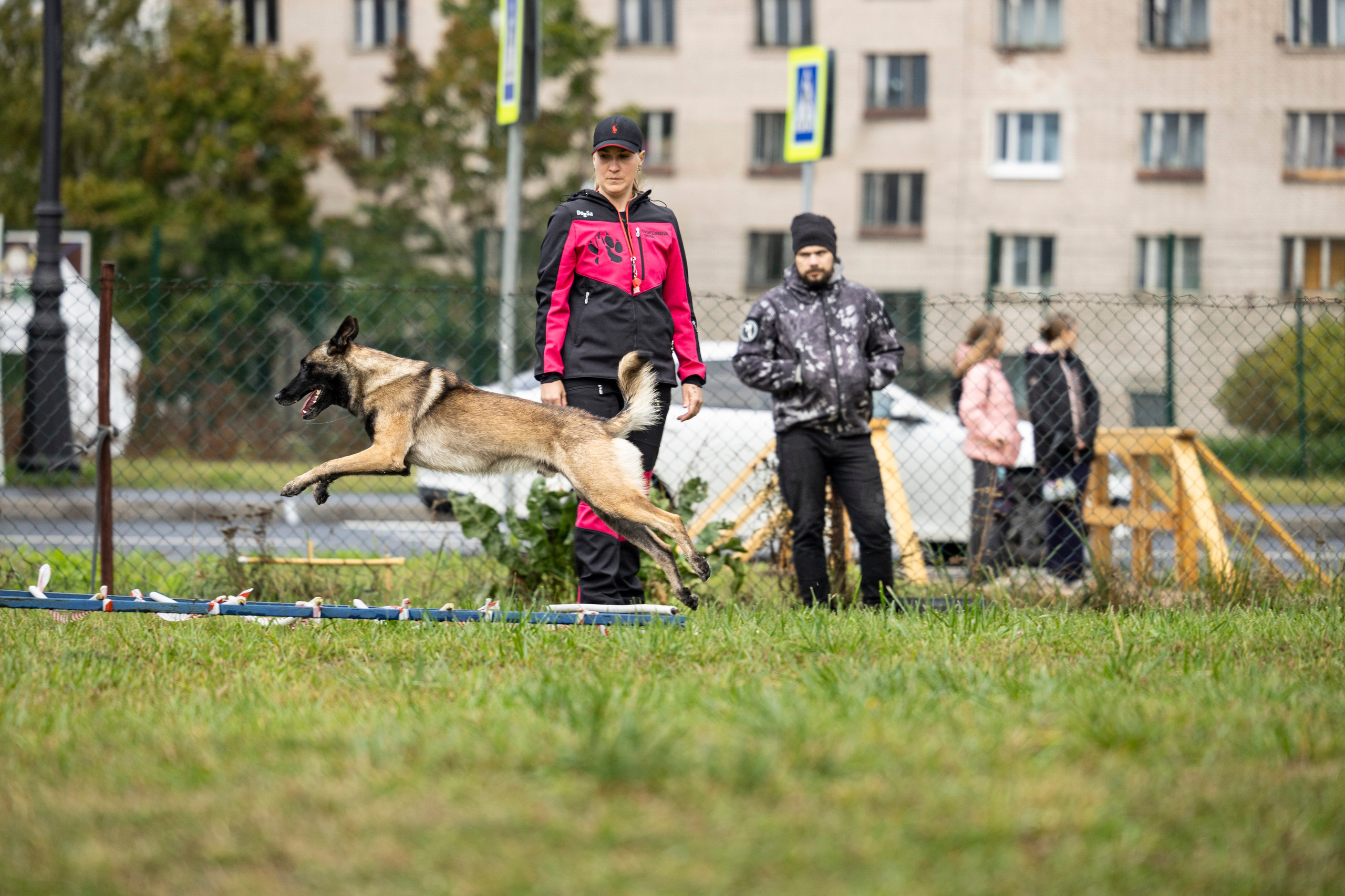Испытания по Мондьорингу г. Пушкин. Фотограф-анималист Анна Маринич