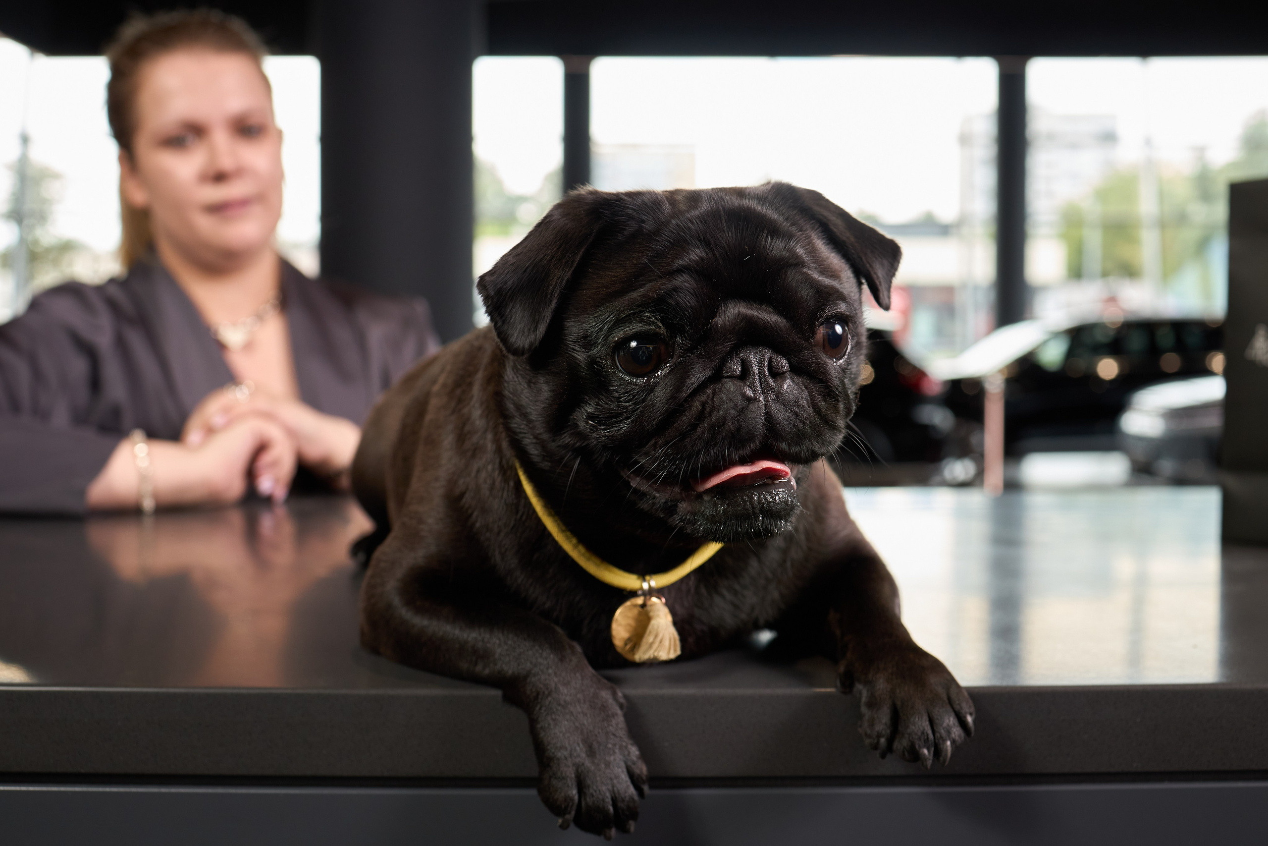 Exeed Pet friendly. Фотограф Михаил Стенин